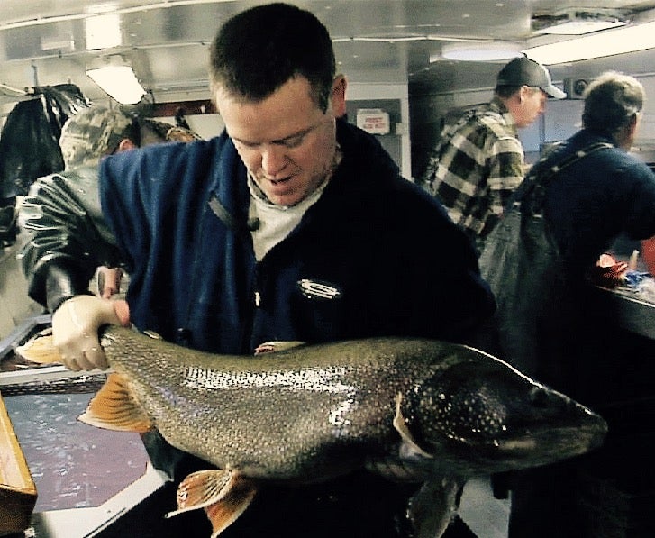 Lake trout