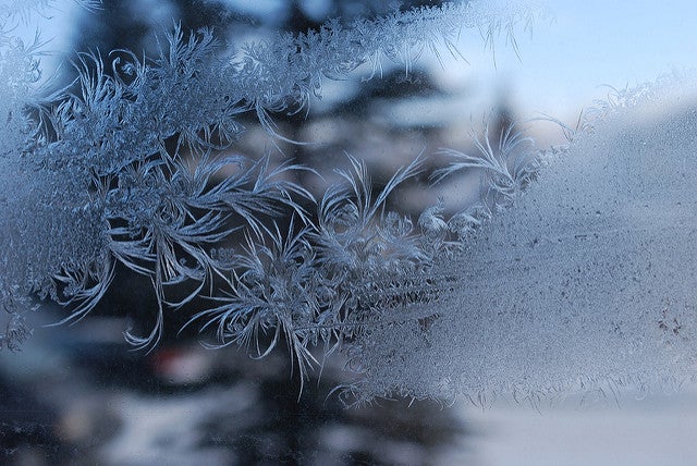 frost window