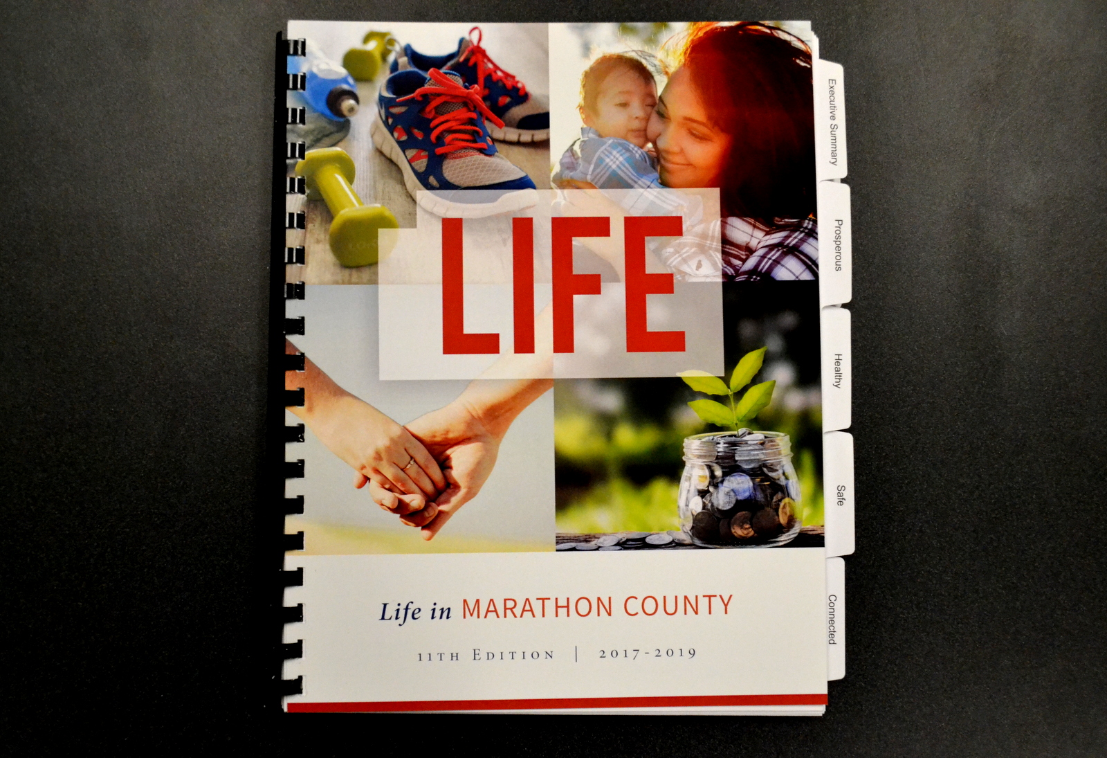 United Way of Marathon County LIFE Report
