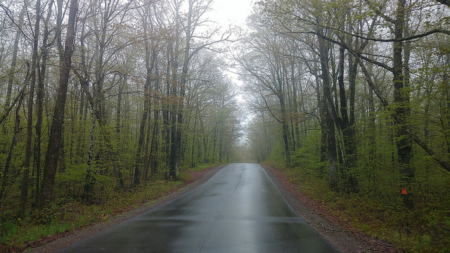 Road in the Chequamegon-Nicolet National Forest