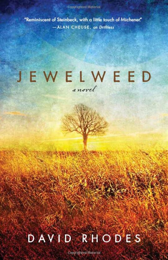 Book cover image for Jewelweed, a novel by David Rhodes