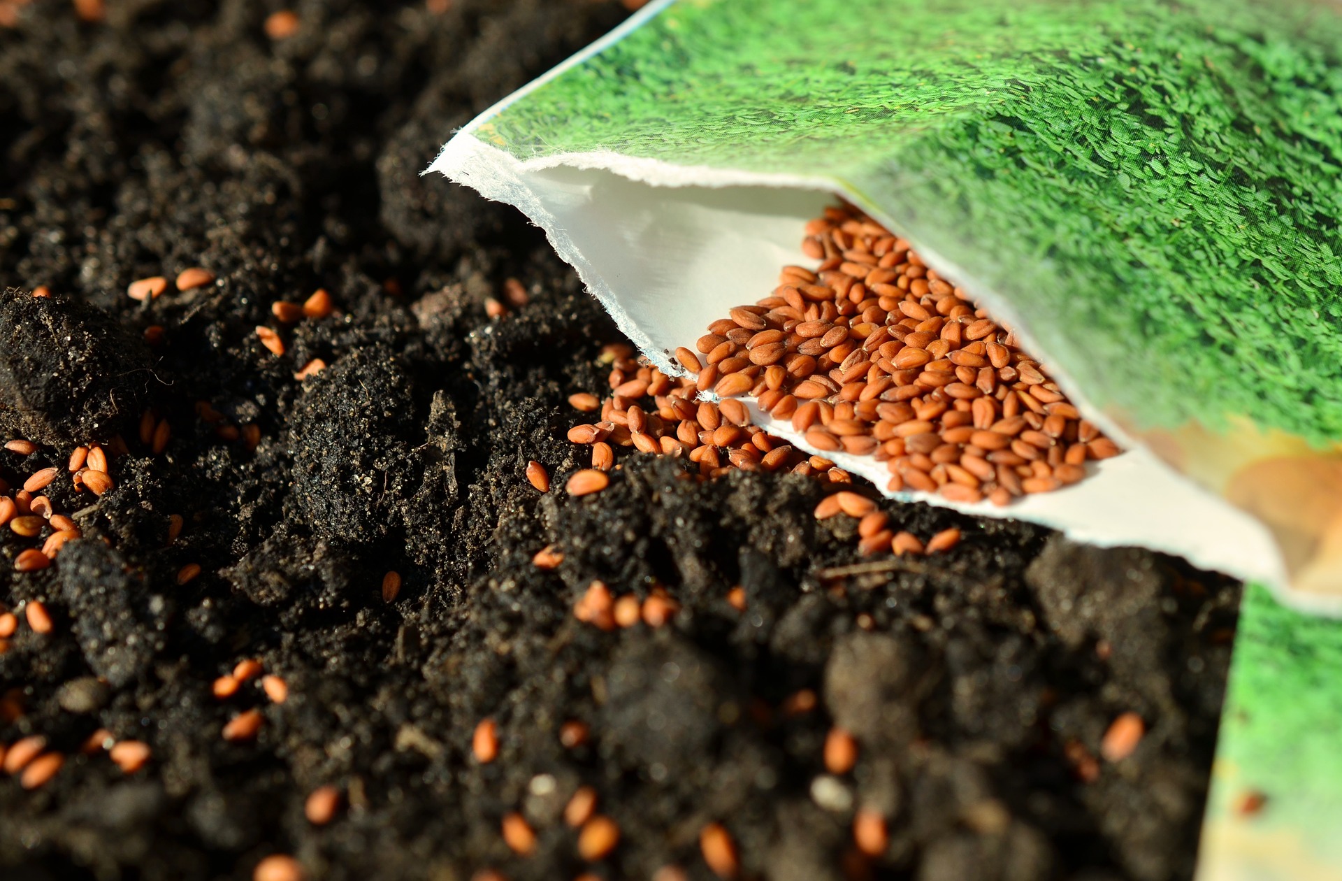 soil with seed packet