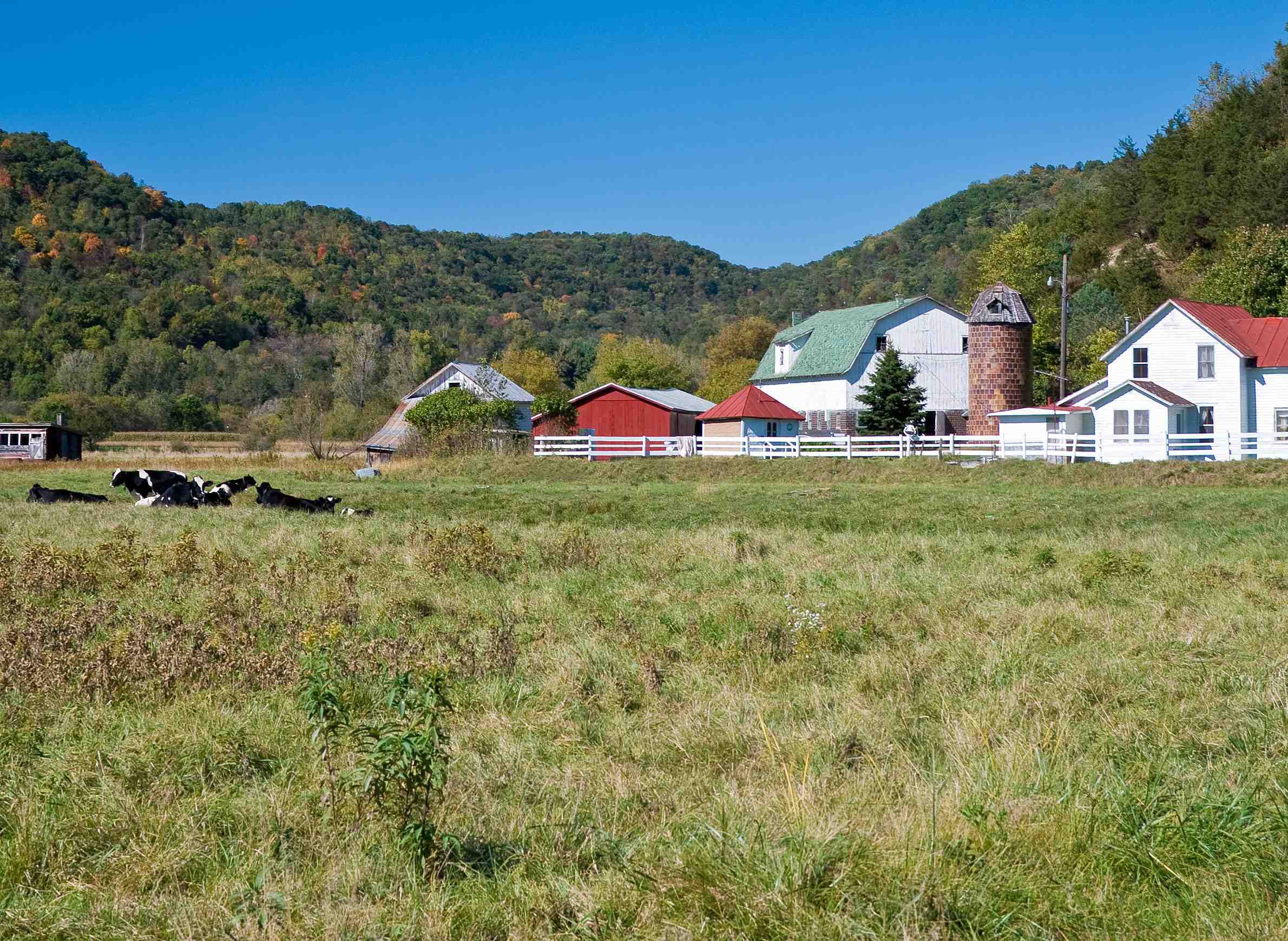 WisContext: Changes In Dairy Industry Spur Farmers To Pursue Novel Business Strategies