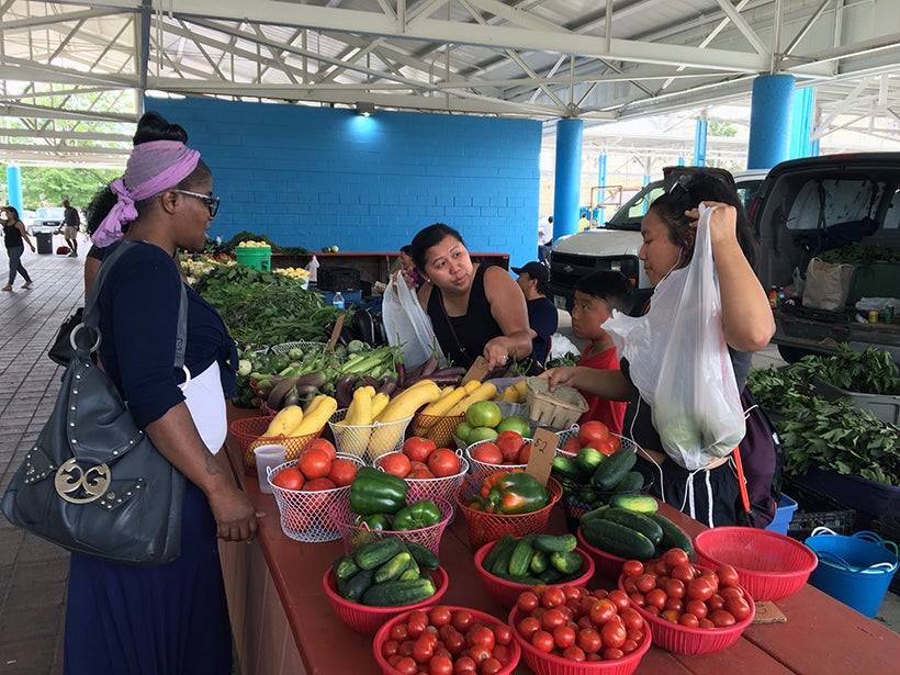 The Fondy Farmers Market