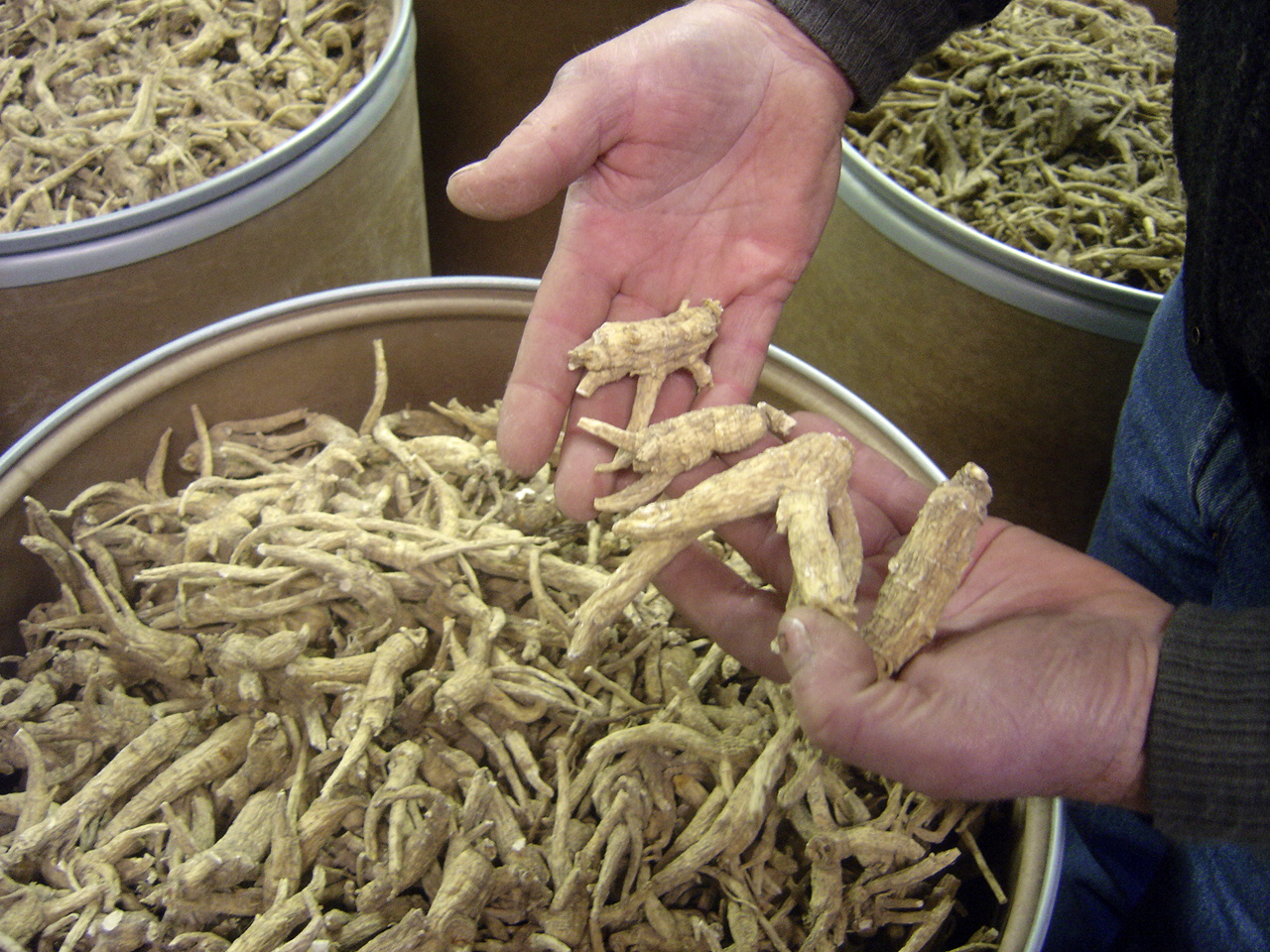 Escalating China Tariffs On Ginseng Create ‘Shock To The System’ For Wisconsin Farmers