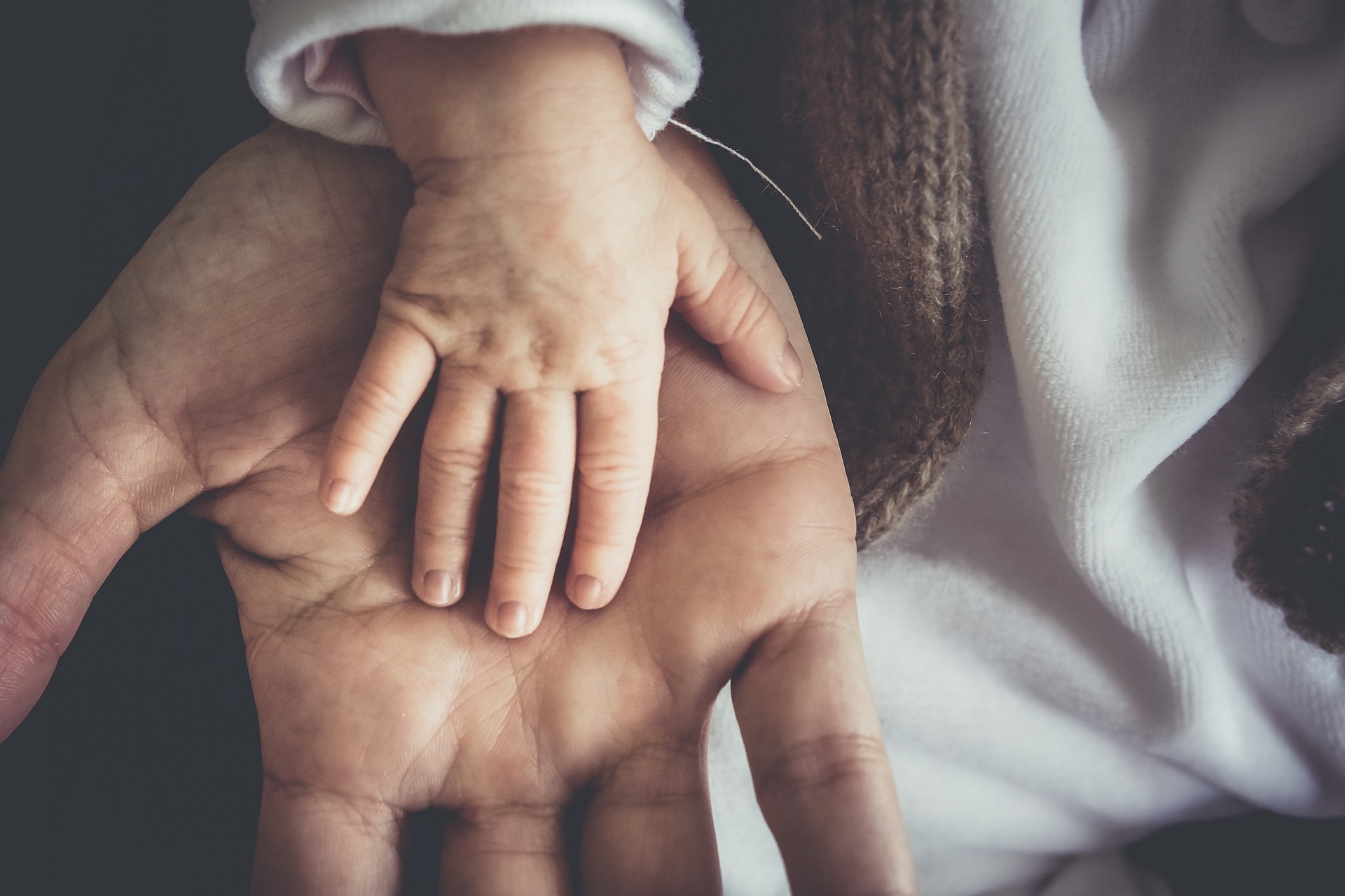 adult and infant hands