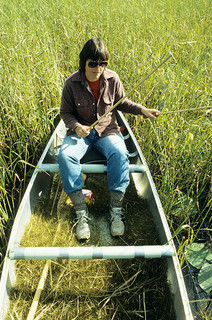 wild rice, image by Wisconsin Department of Natural Resources