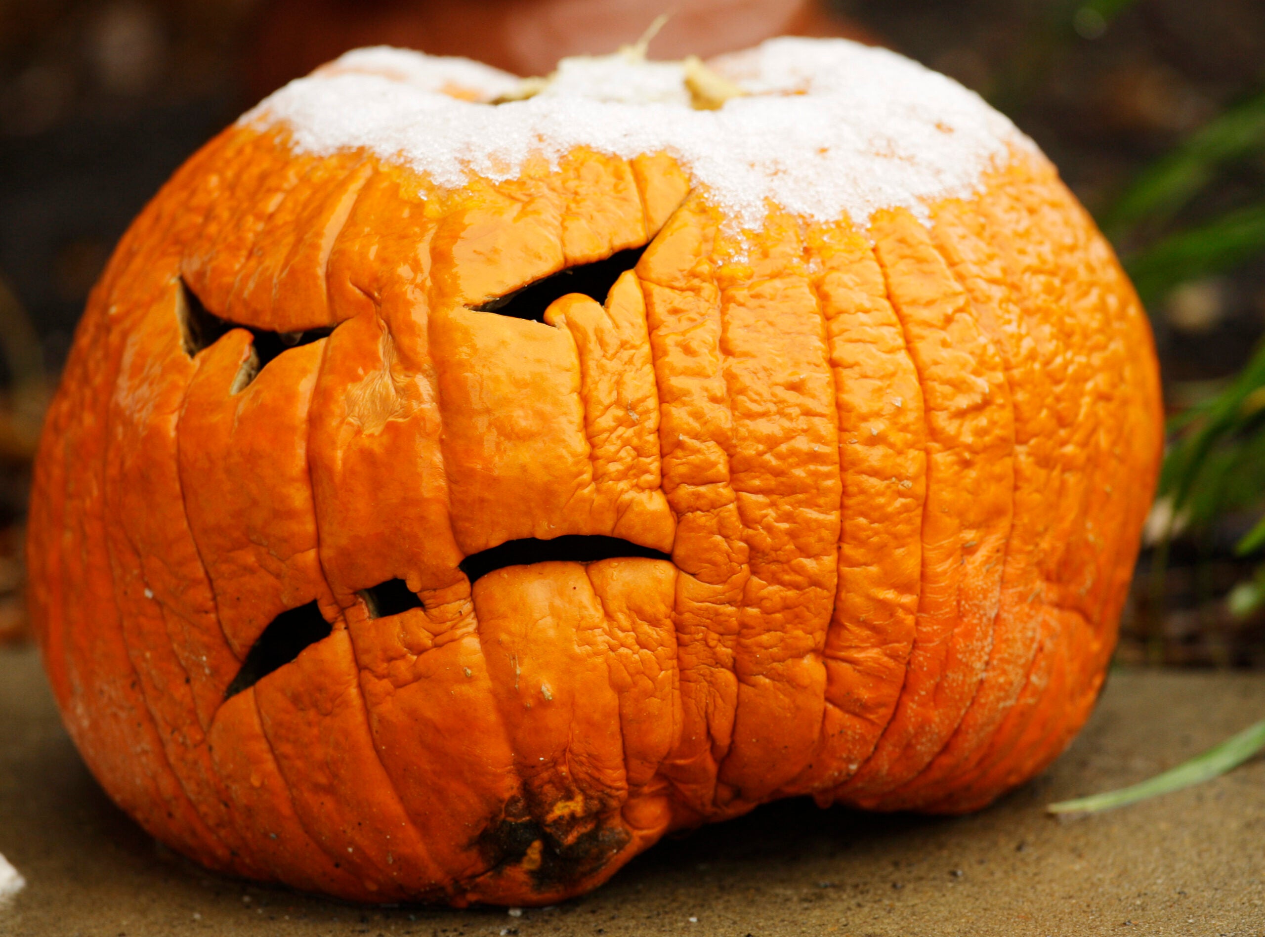 Halloween pumpkin with dusting of snow