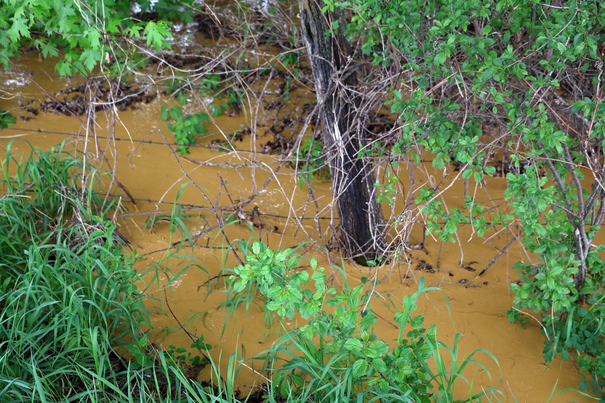 Orange creek water