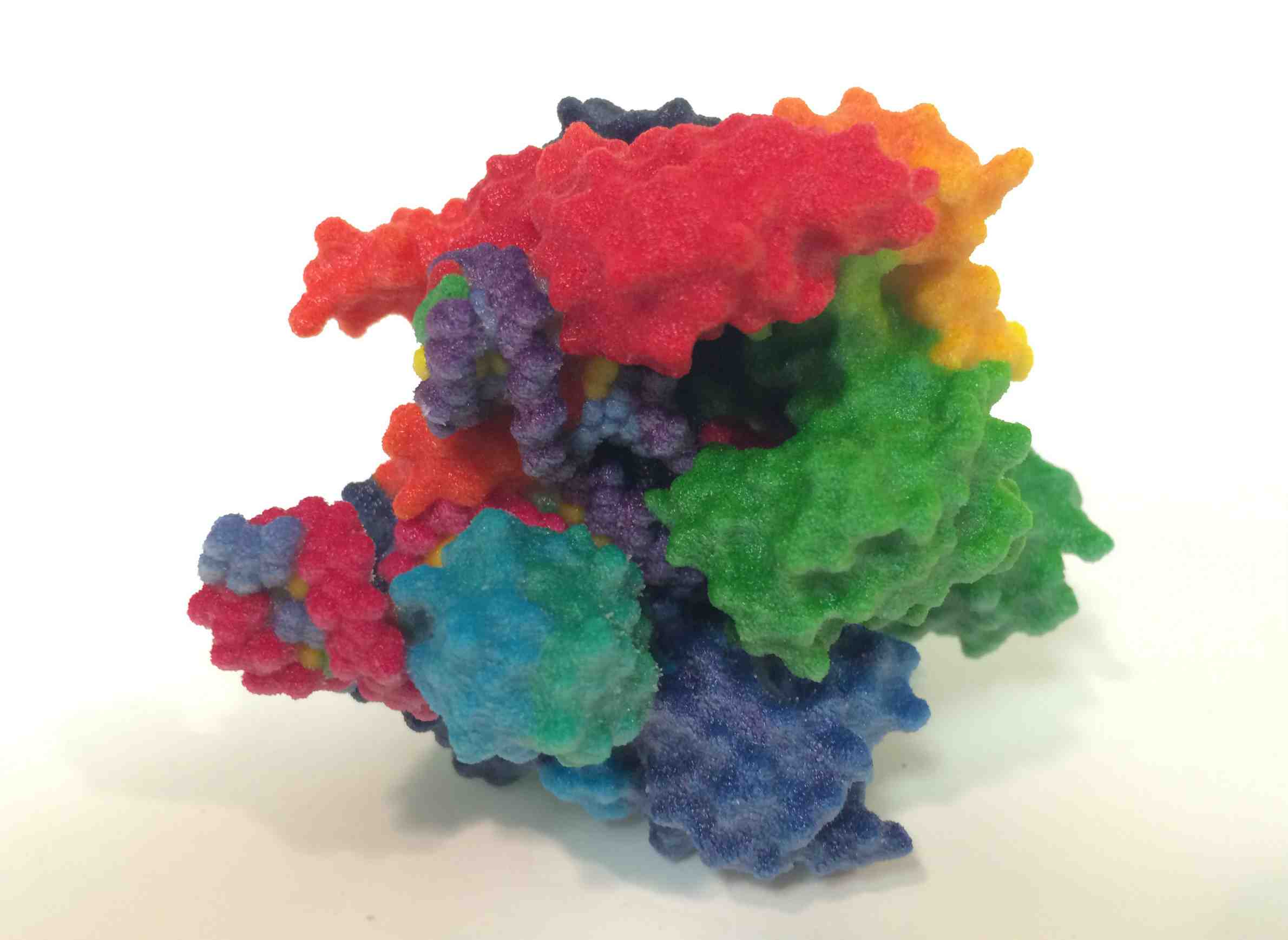 A 3-D model depicts the Cas9 protein