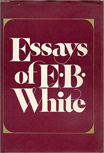 The Eye of Edna from Essays of E.B. White
