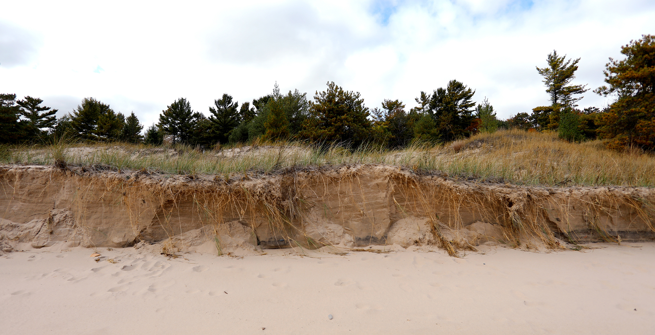 sand dunes at Wisconsin’s Kohler-Andrae State Park