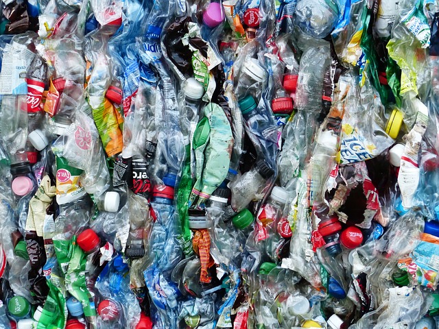 bottle, plastic, recycle, recycling, waste