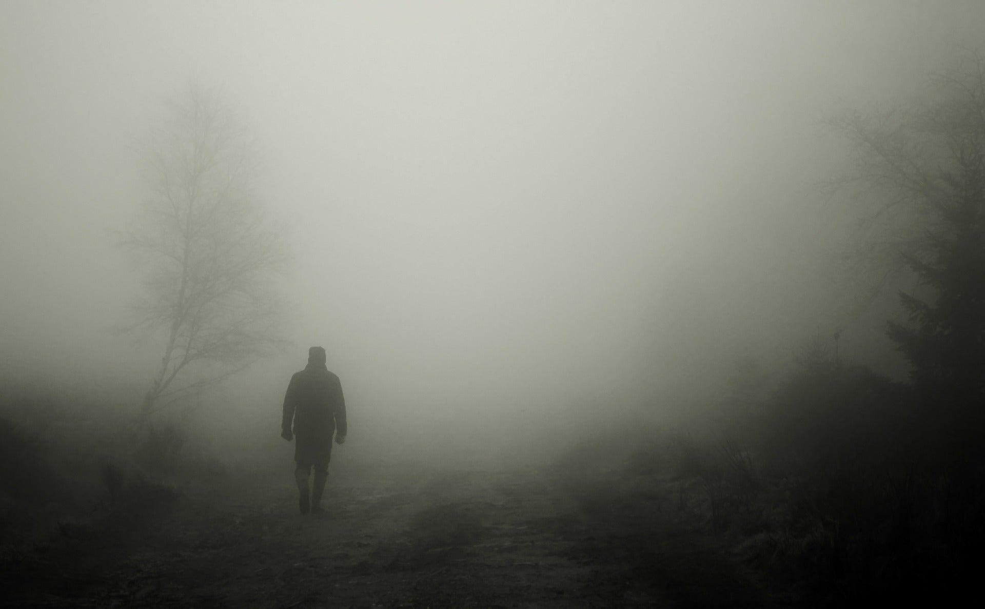 figure walking in fog