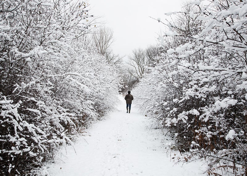 Havenwoods State Forest