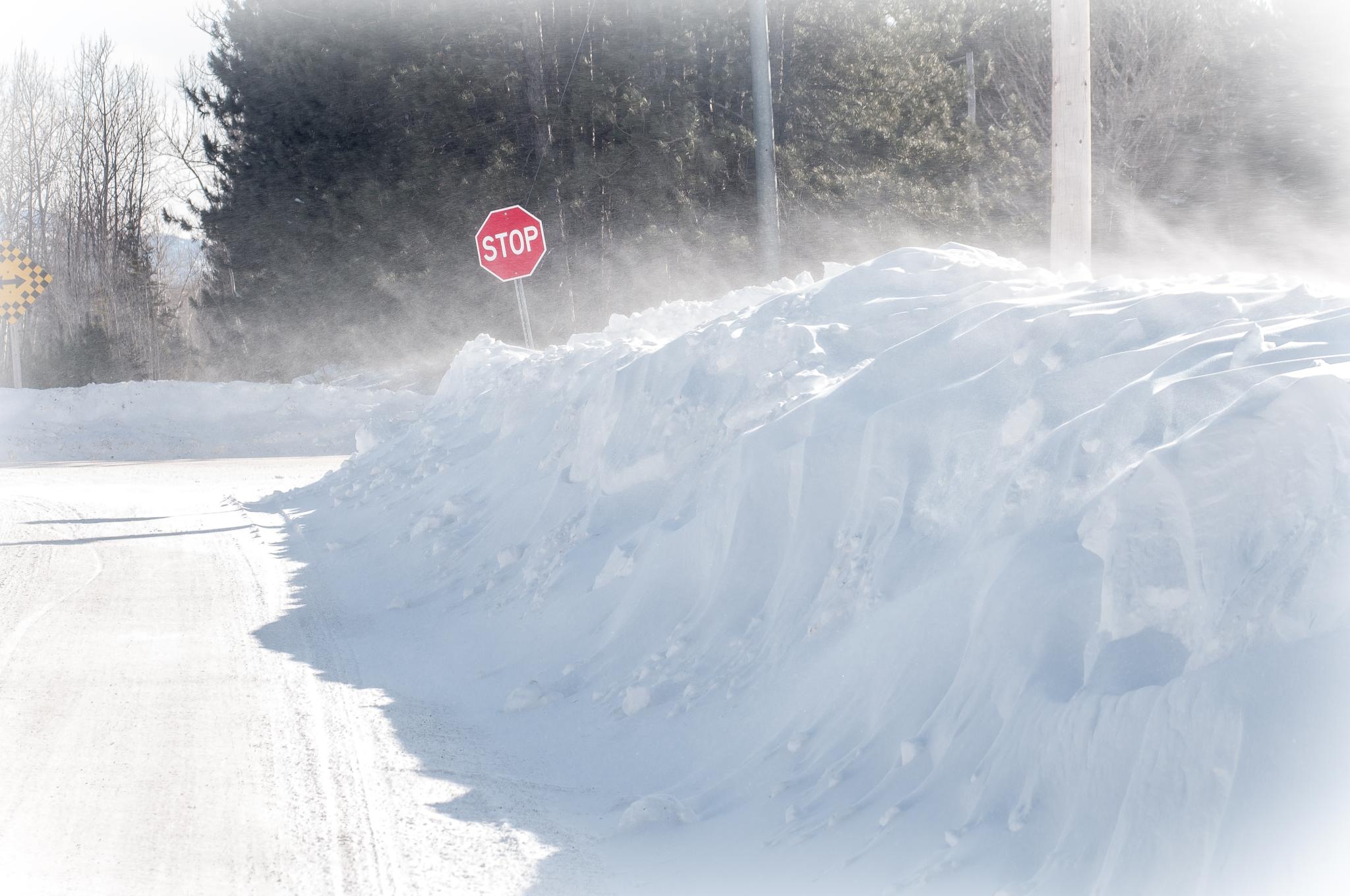Stop sign in snow bank
