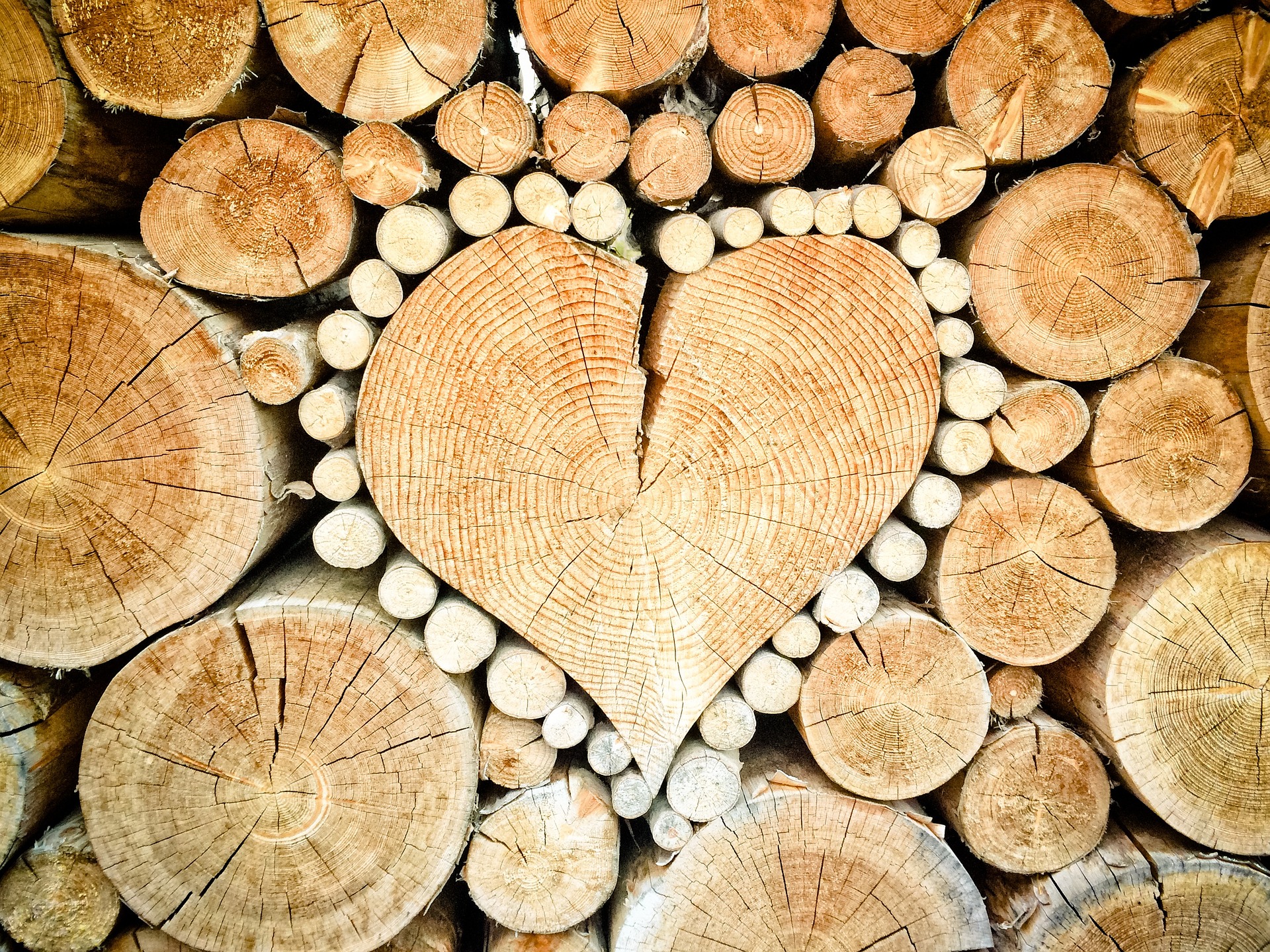 heart in wood pile