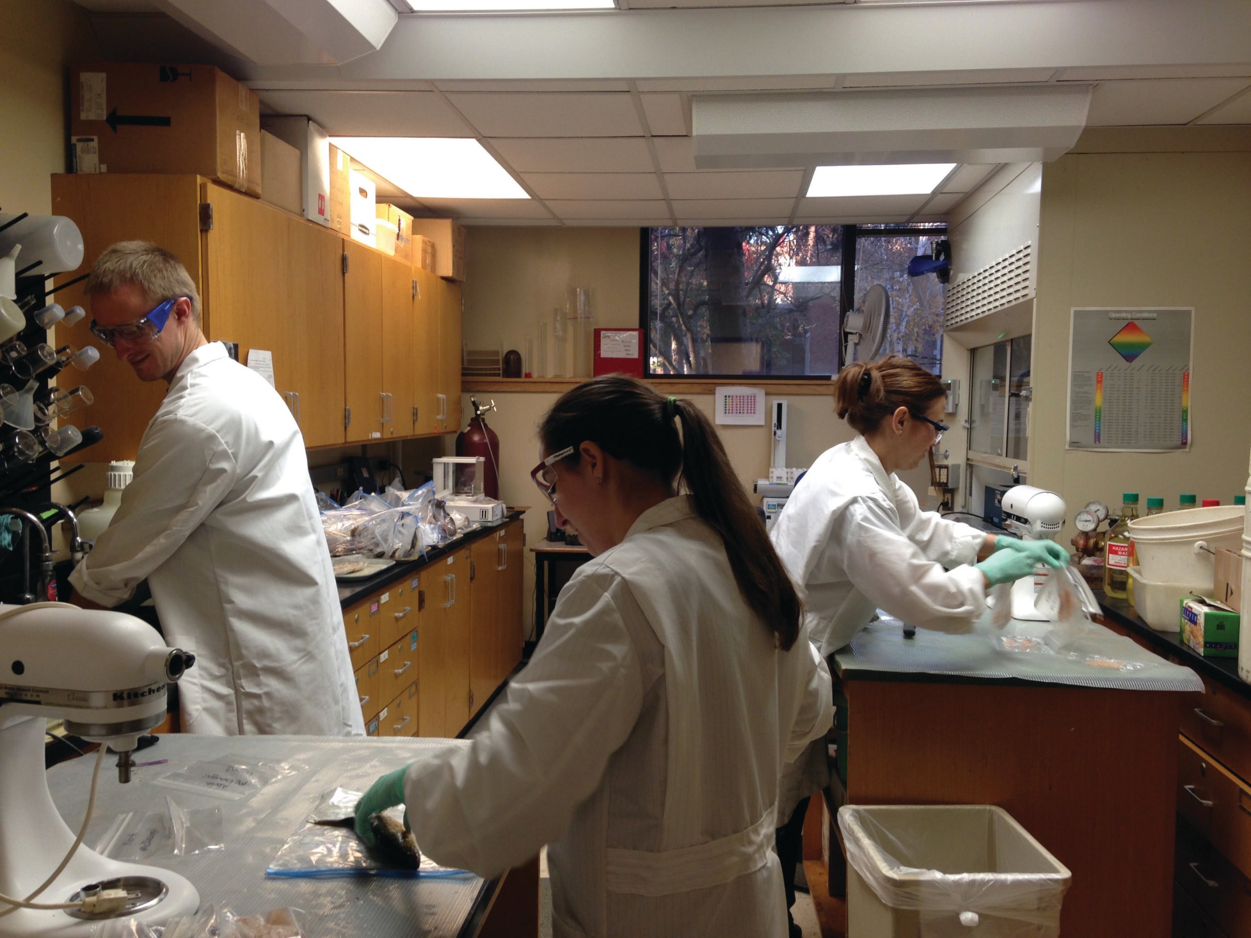 Lake Superior Research Institute