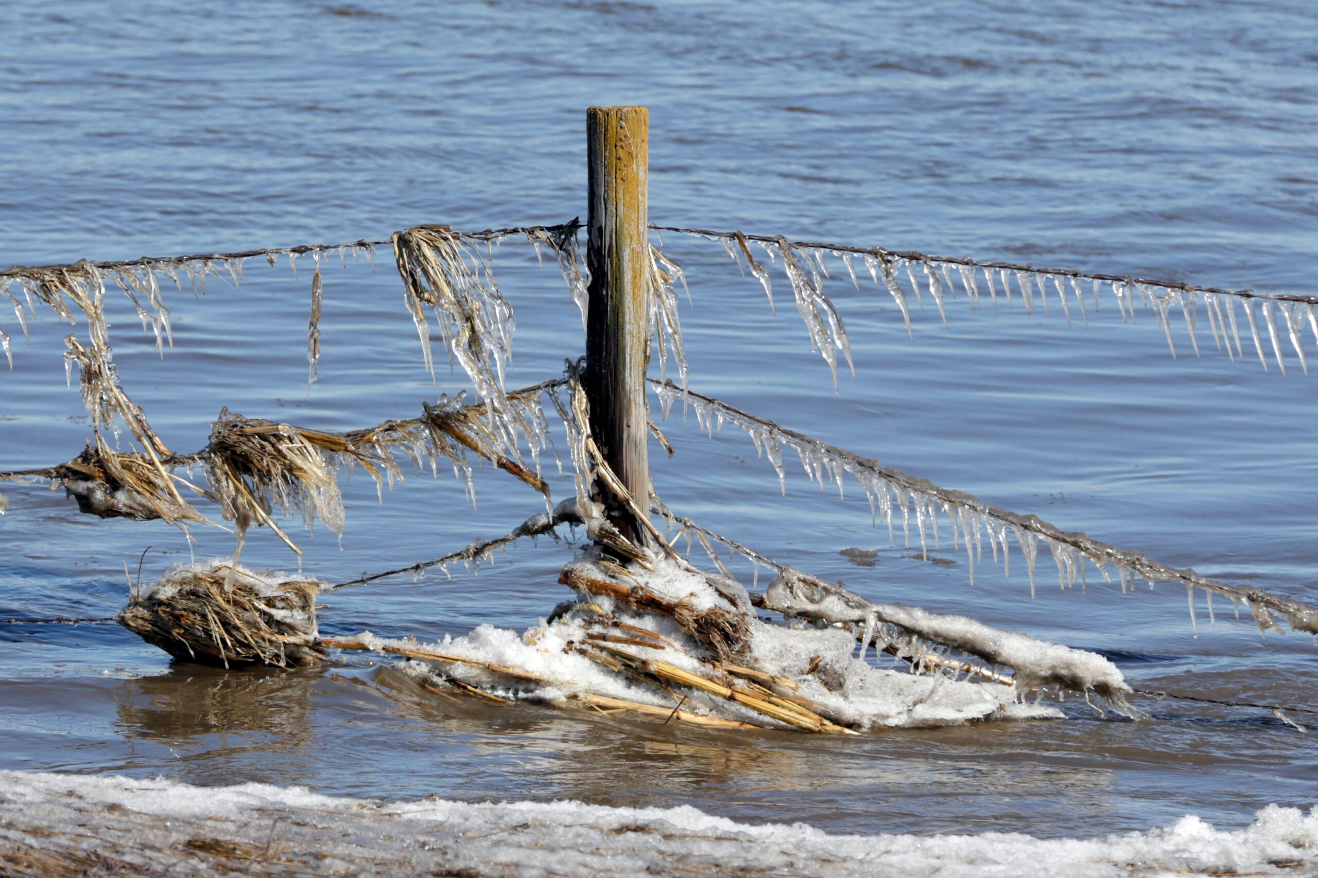 A fence in floodwater