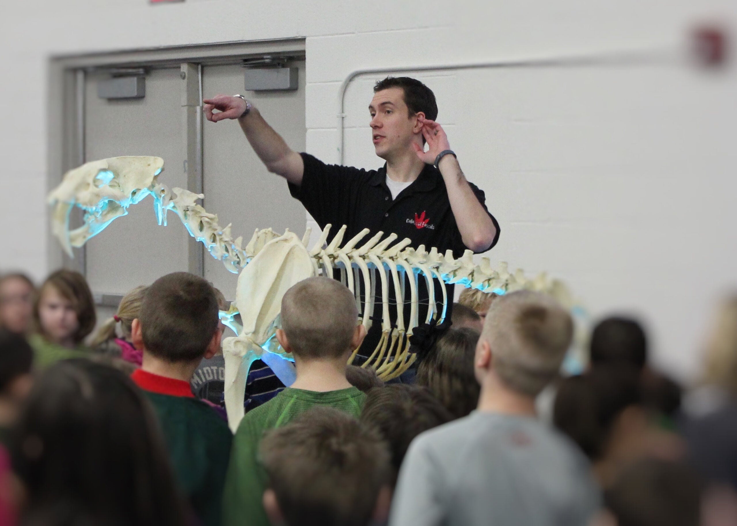 Colossal Fossils’ Exhibit Reflects On State’s History Of Volcanoes, Oceans And Ice