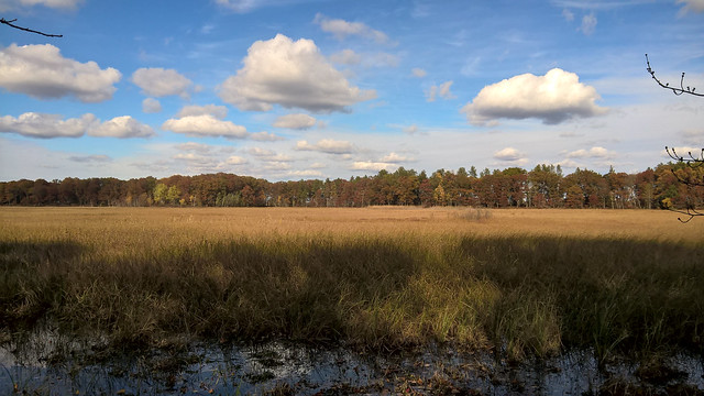 Fish Lake Wildlife Area