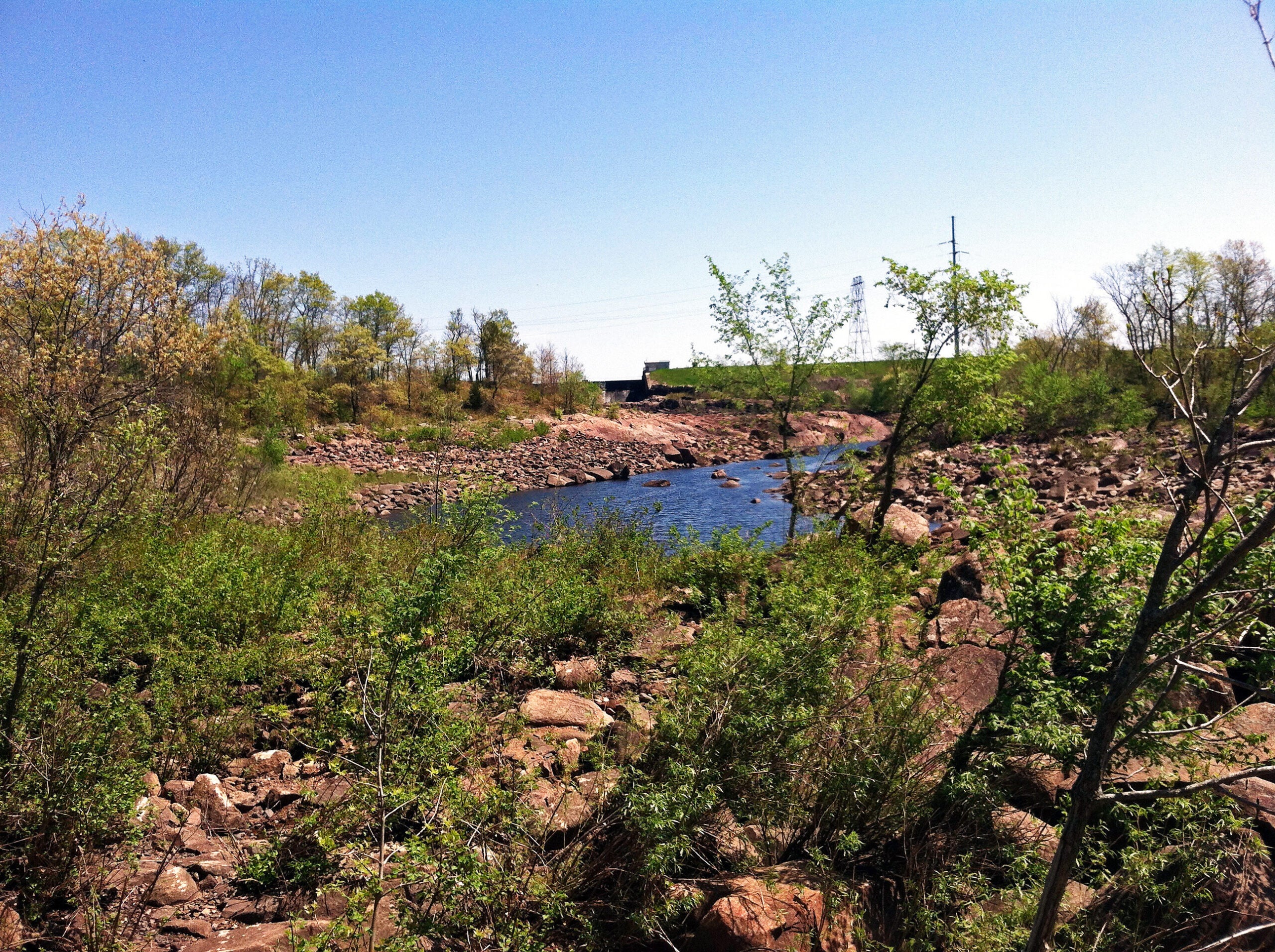 Riverview Reserve in Chippewa County