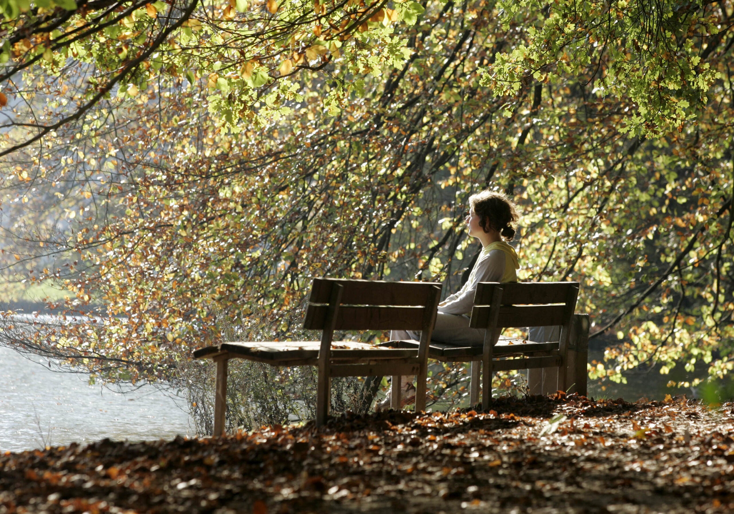 medication, sitting on bench, nature