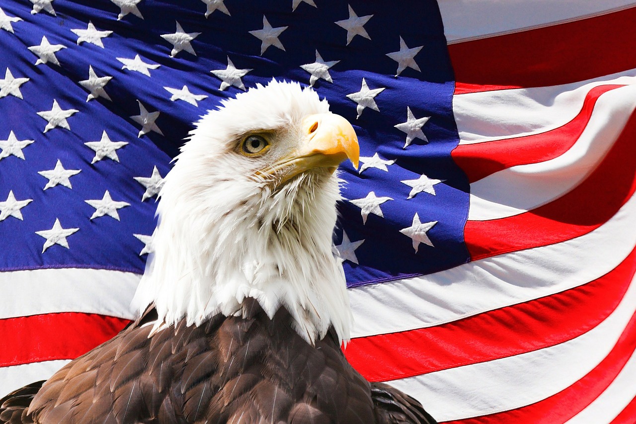 American eagle in front of flag