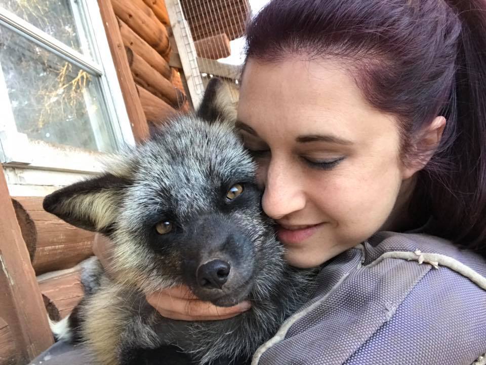 fox, rescue, Jamie Kozloski