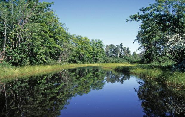 The Bad River, as seen running through northwestern Wisconsin's Bad River Reservation.