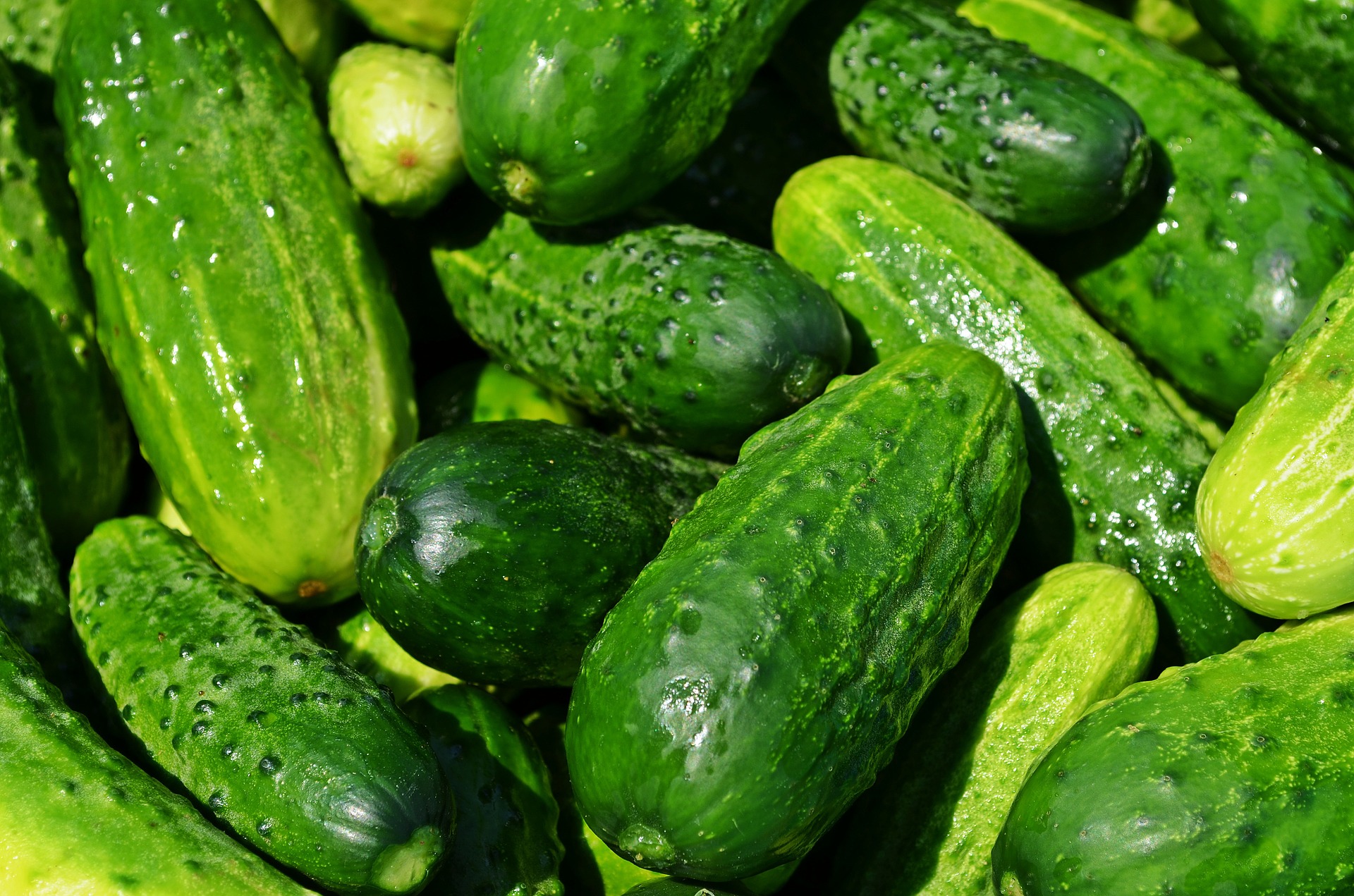 Cucucumbers