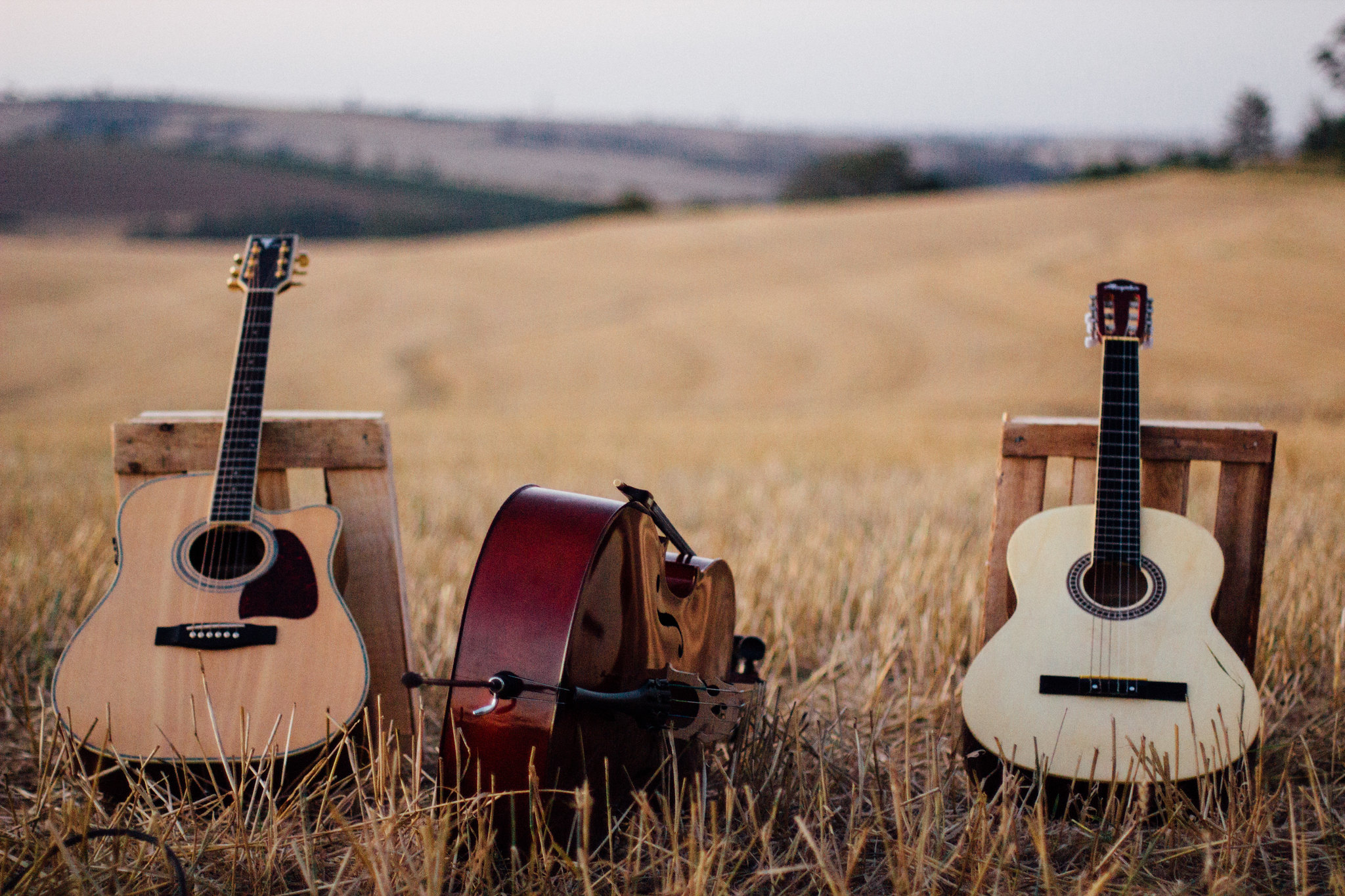 Guitars and bass in a field