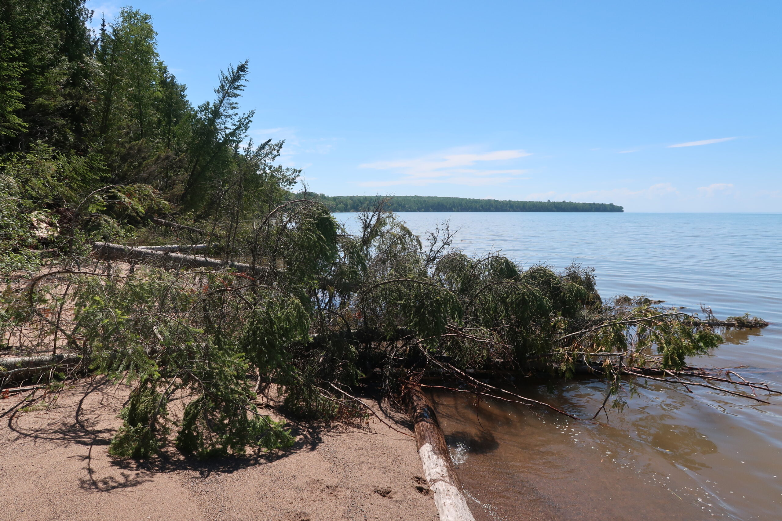 Trees have been cut or lean toward the shoreline.