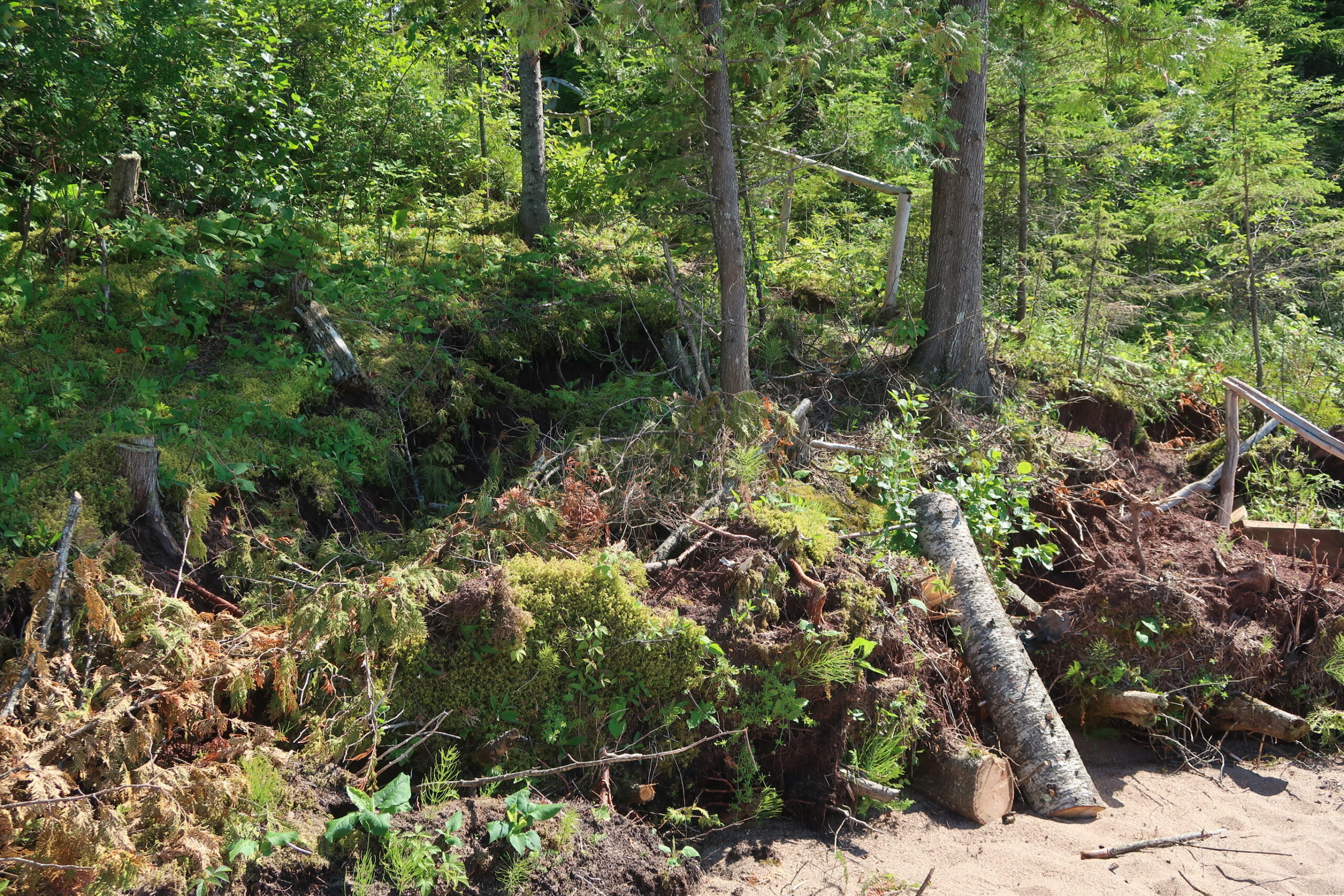 eroding hillside