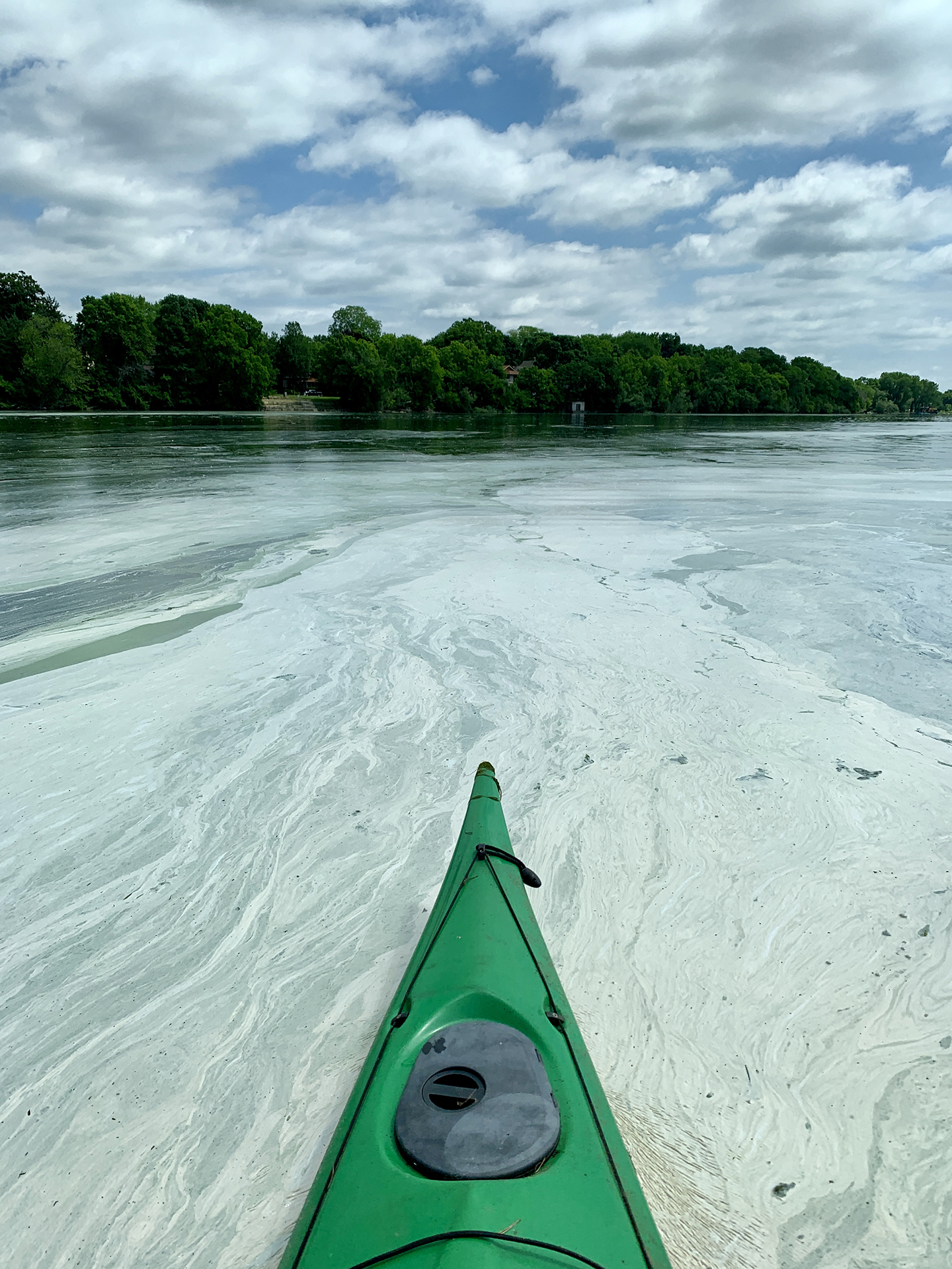 large cyanobacteria bloom on Lake Monona