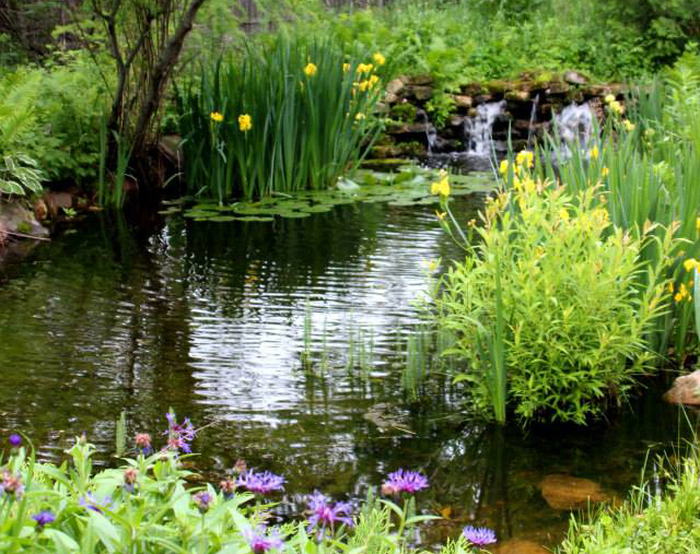 pond with waterfall