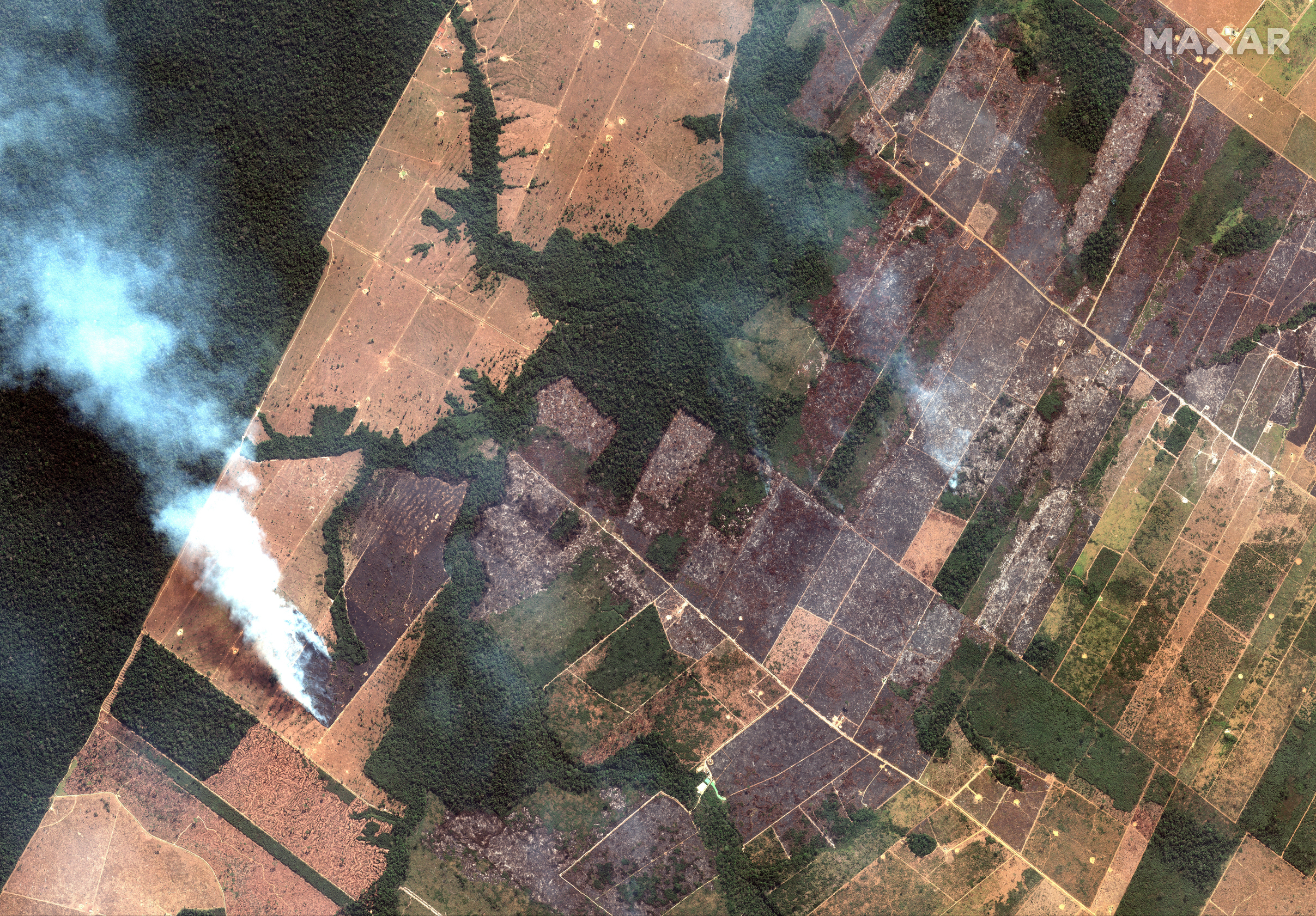 Fires burning in the State of Rondonia, Brazil, in the upper Amazon River basin
