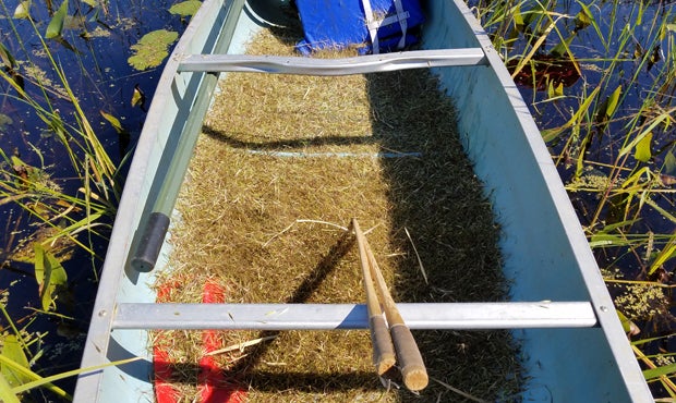 Sarah Dance, wild rice, canoe, knockers, Lac du Flambeau Reservation
