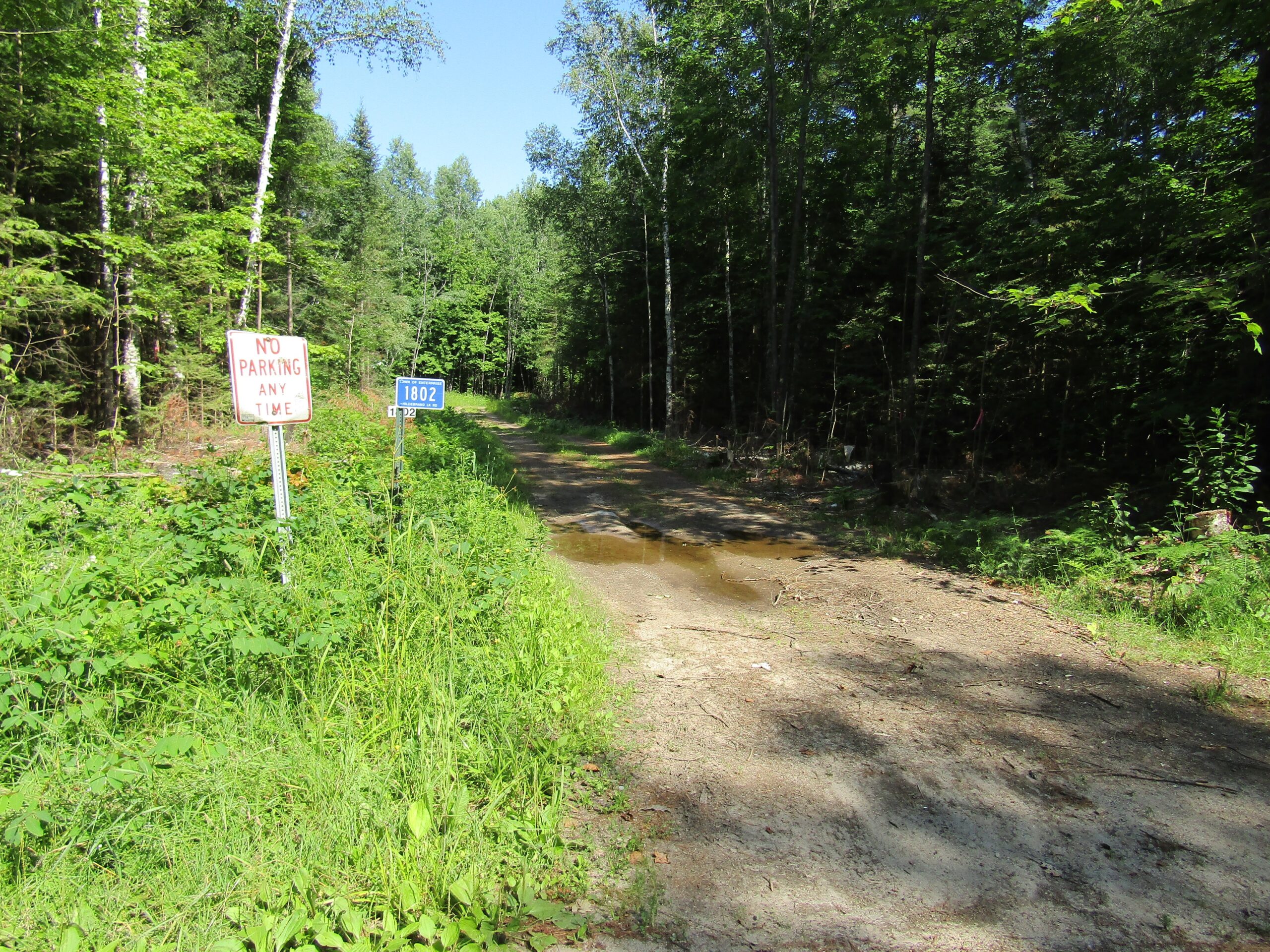 Logging road in Oneida County at the end of Hildebrand Lake Drive