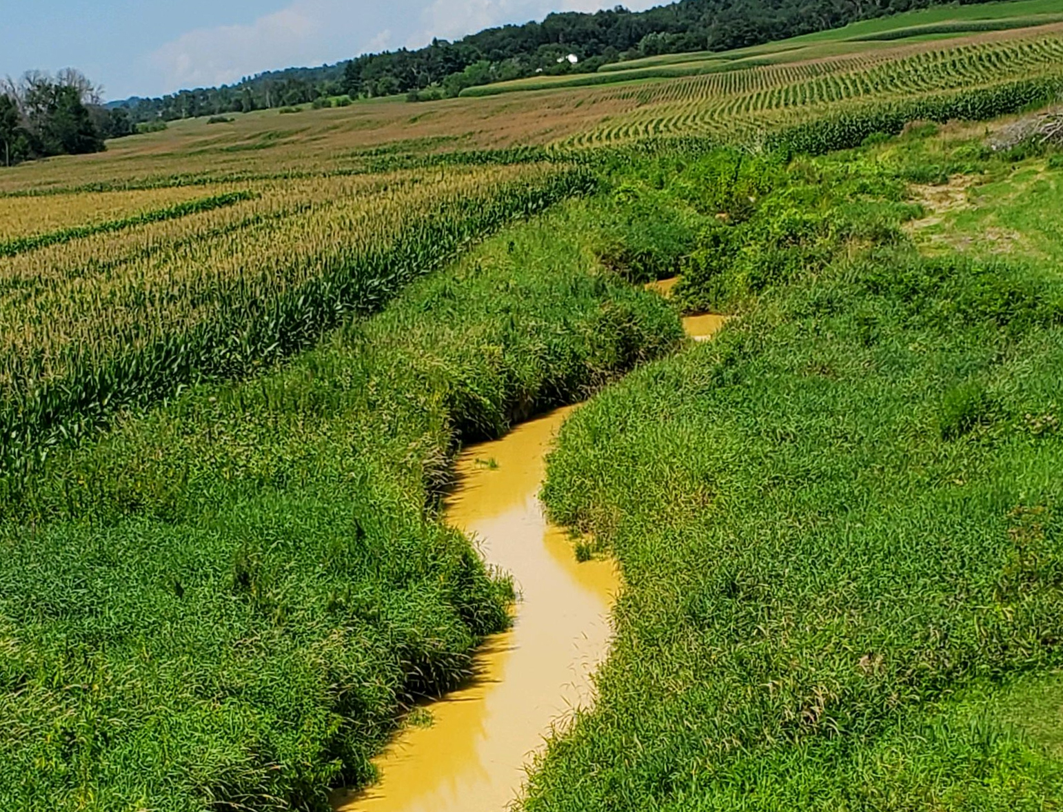 Curran Coulee Creek after a frac sand mine spill