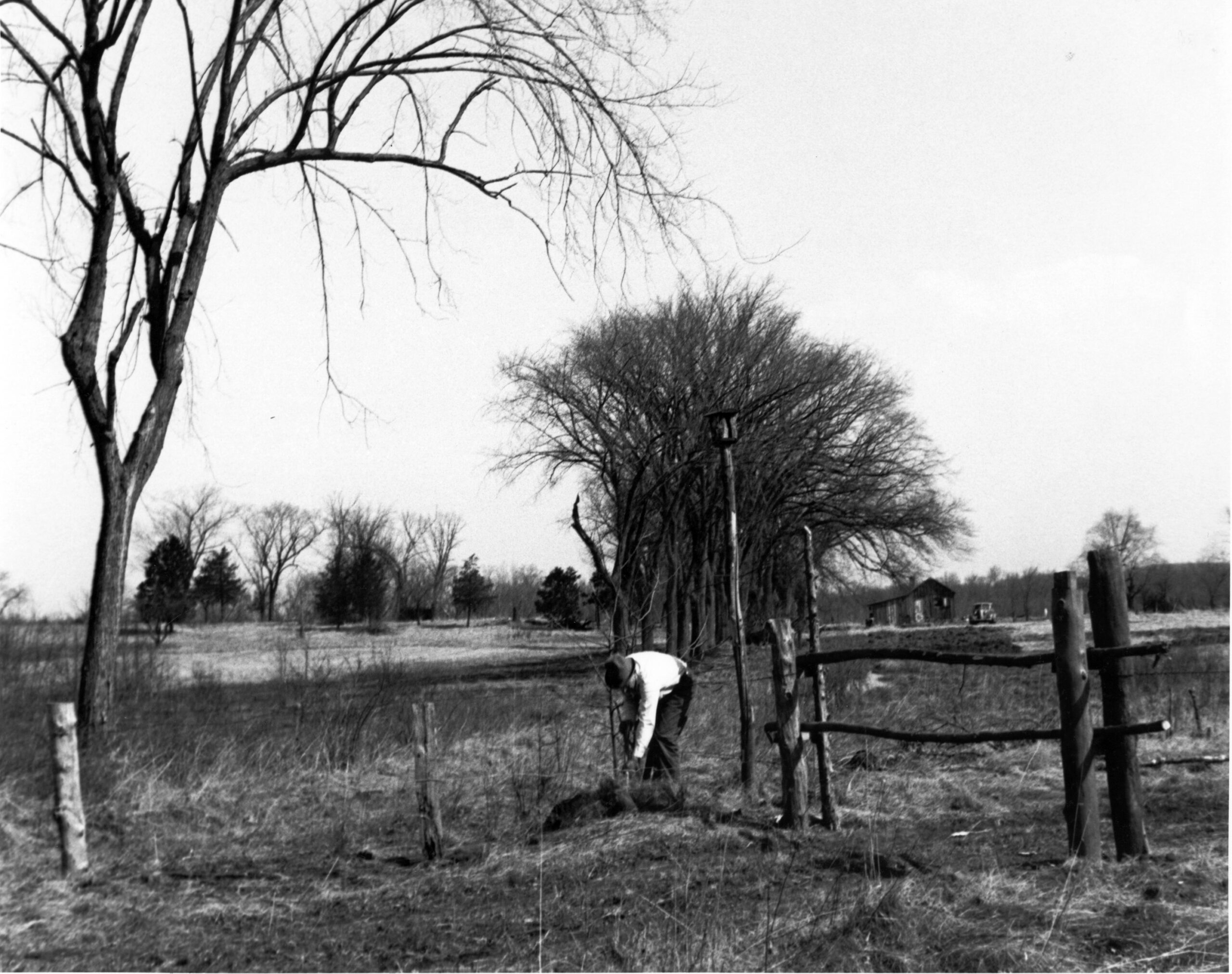 Aldo Leopold planting a tree at the Shack in Baraboo