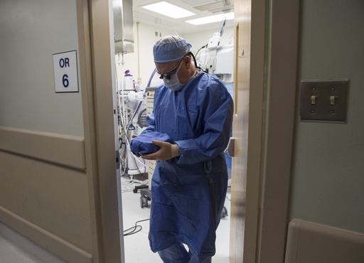 A doctor carries a donated kidney