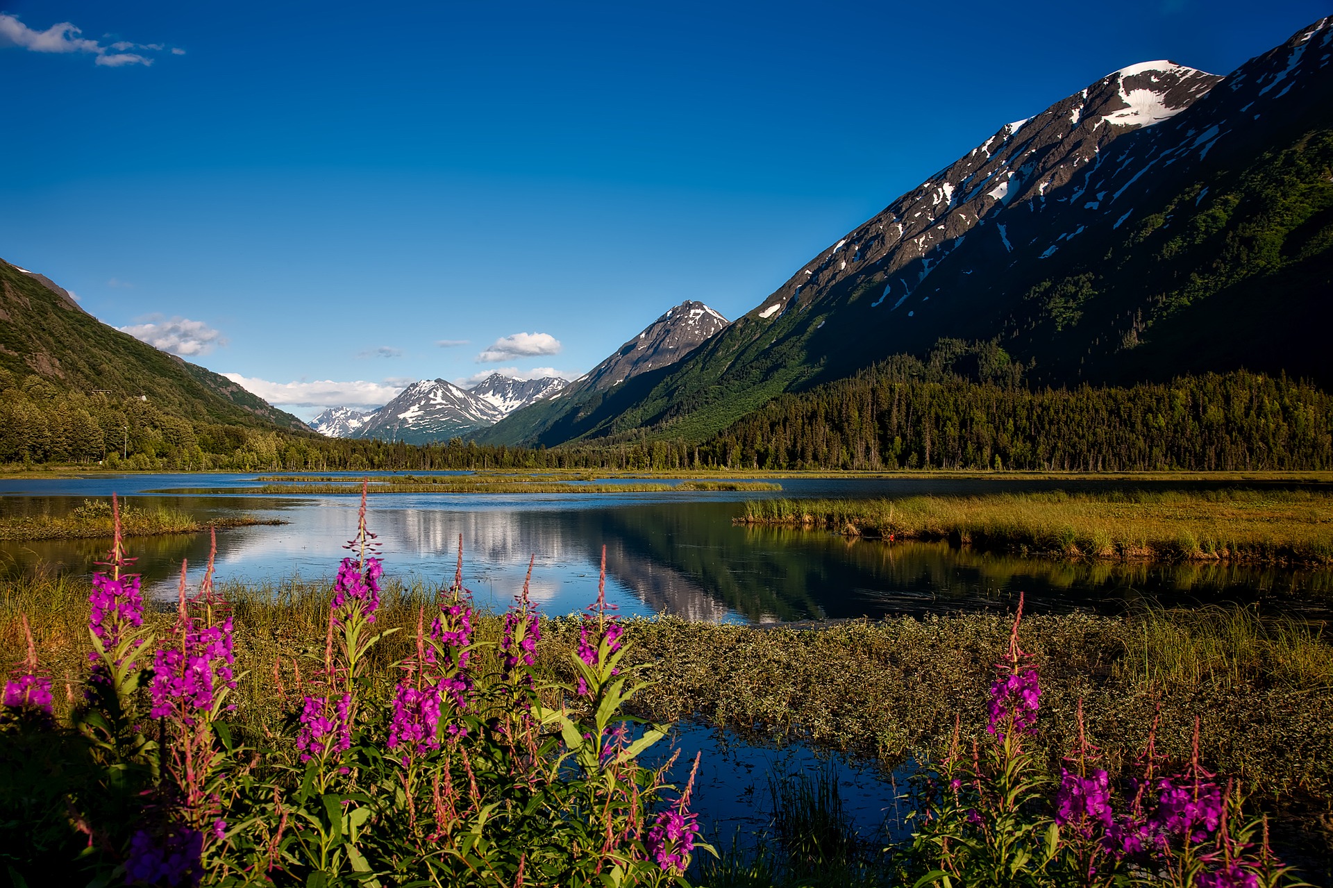 Chugach National Forest, Alaska