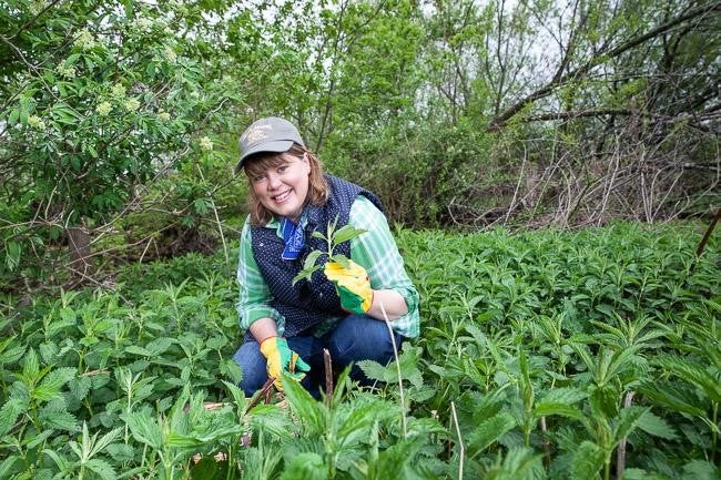 Inga Witscher in a patch of nettles.