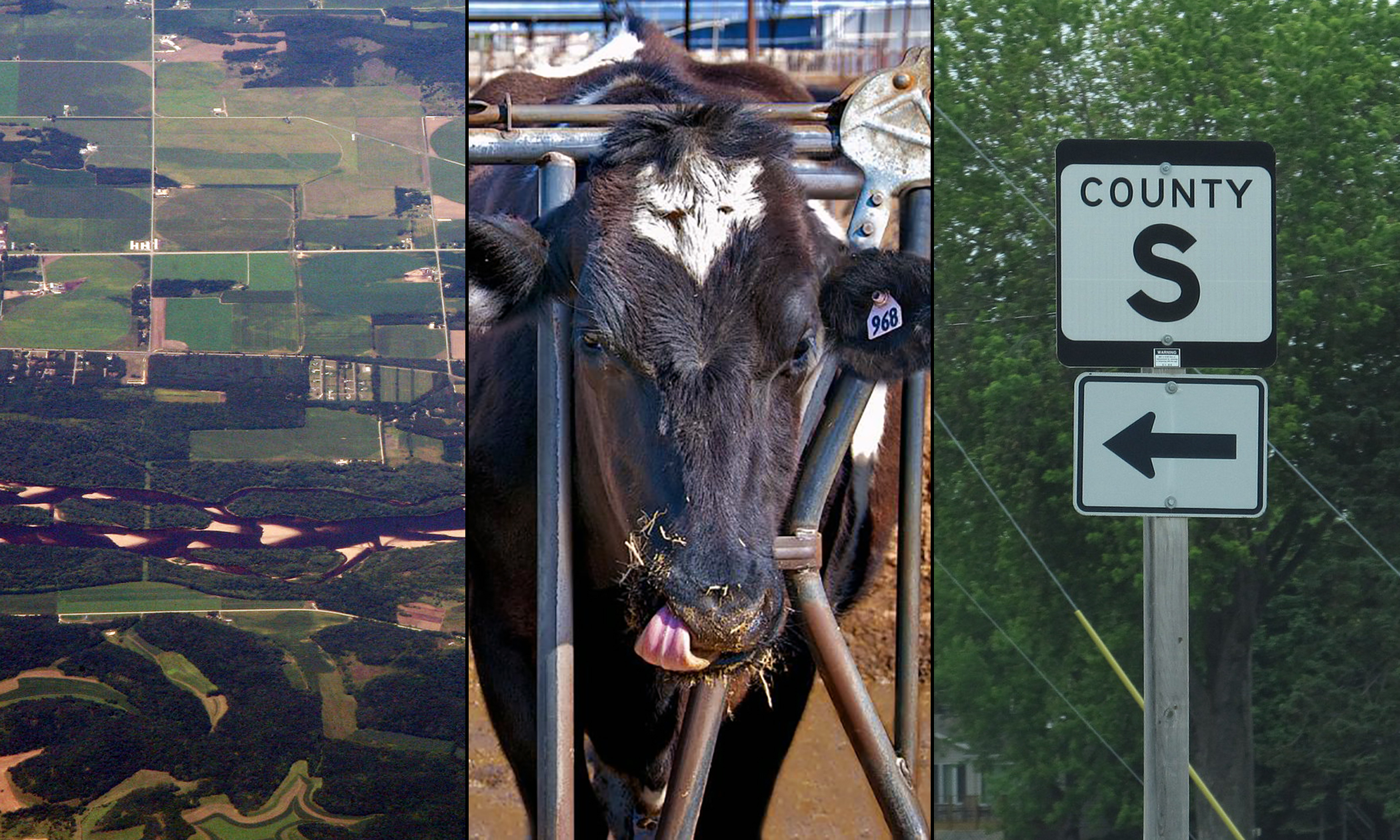 wisconsin aerial view, a dairy cow, a county road sign