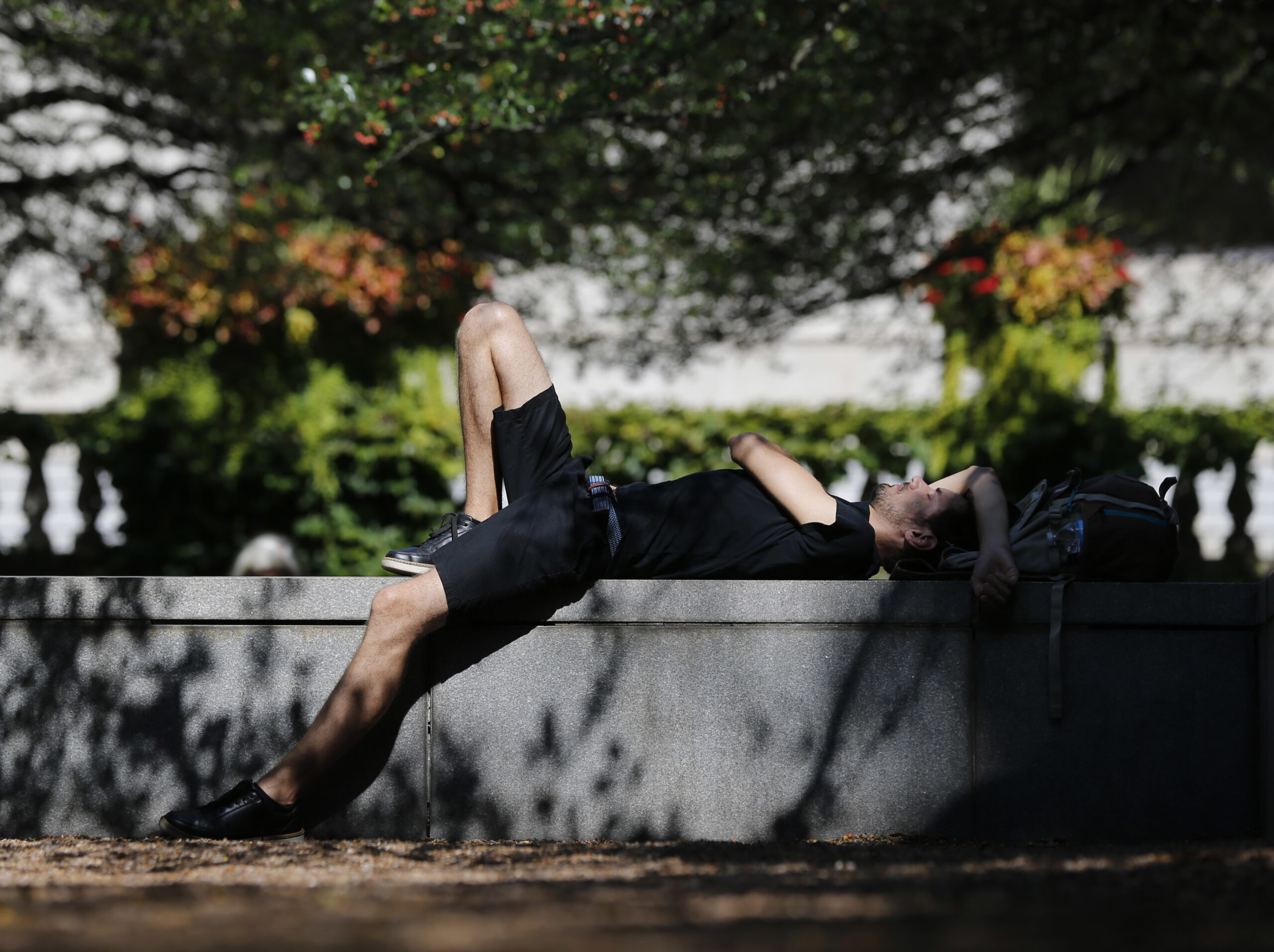 Kamil Szydlo naps in a garden at the Art Institute of Chicago