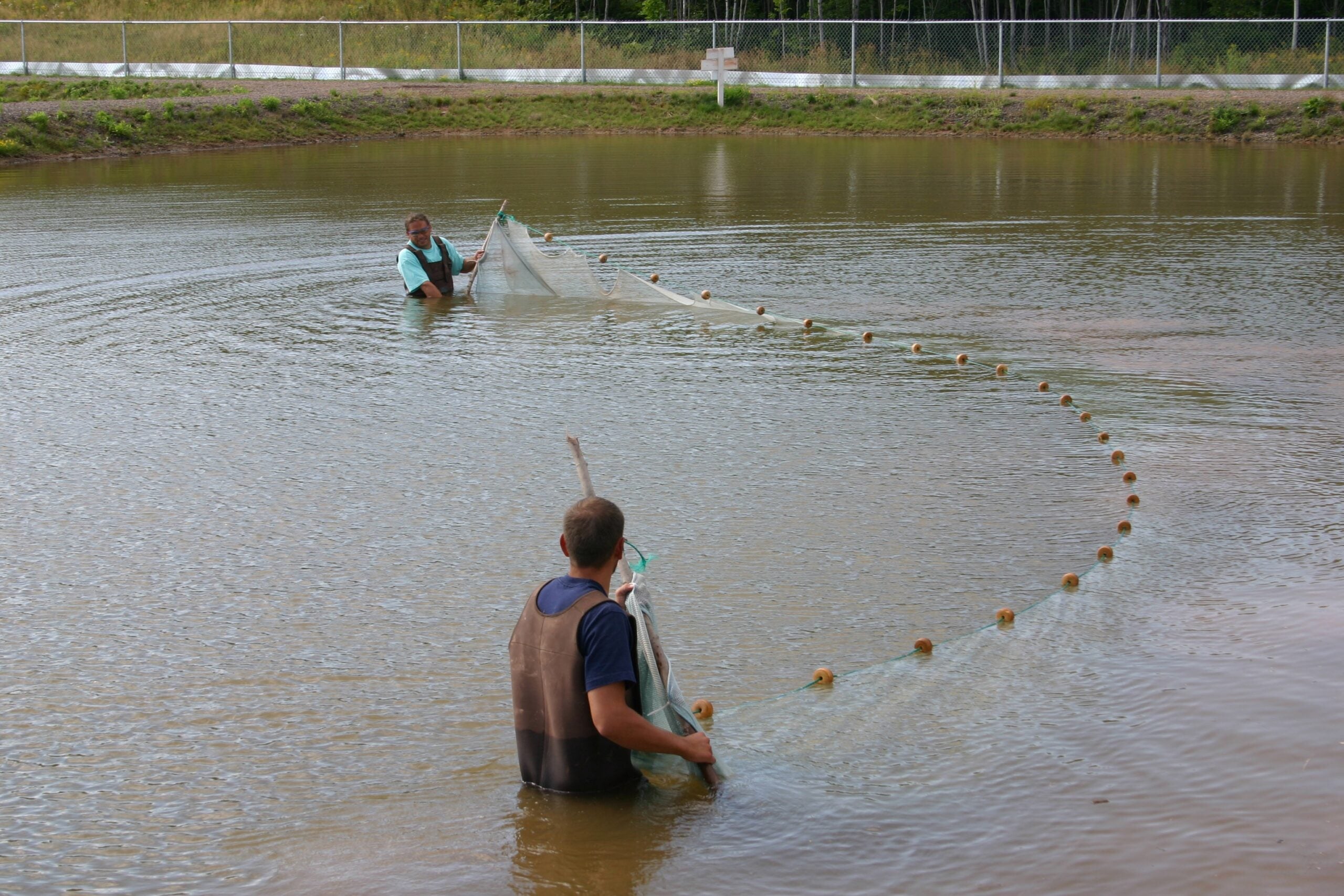 Wisconsin fish farm