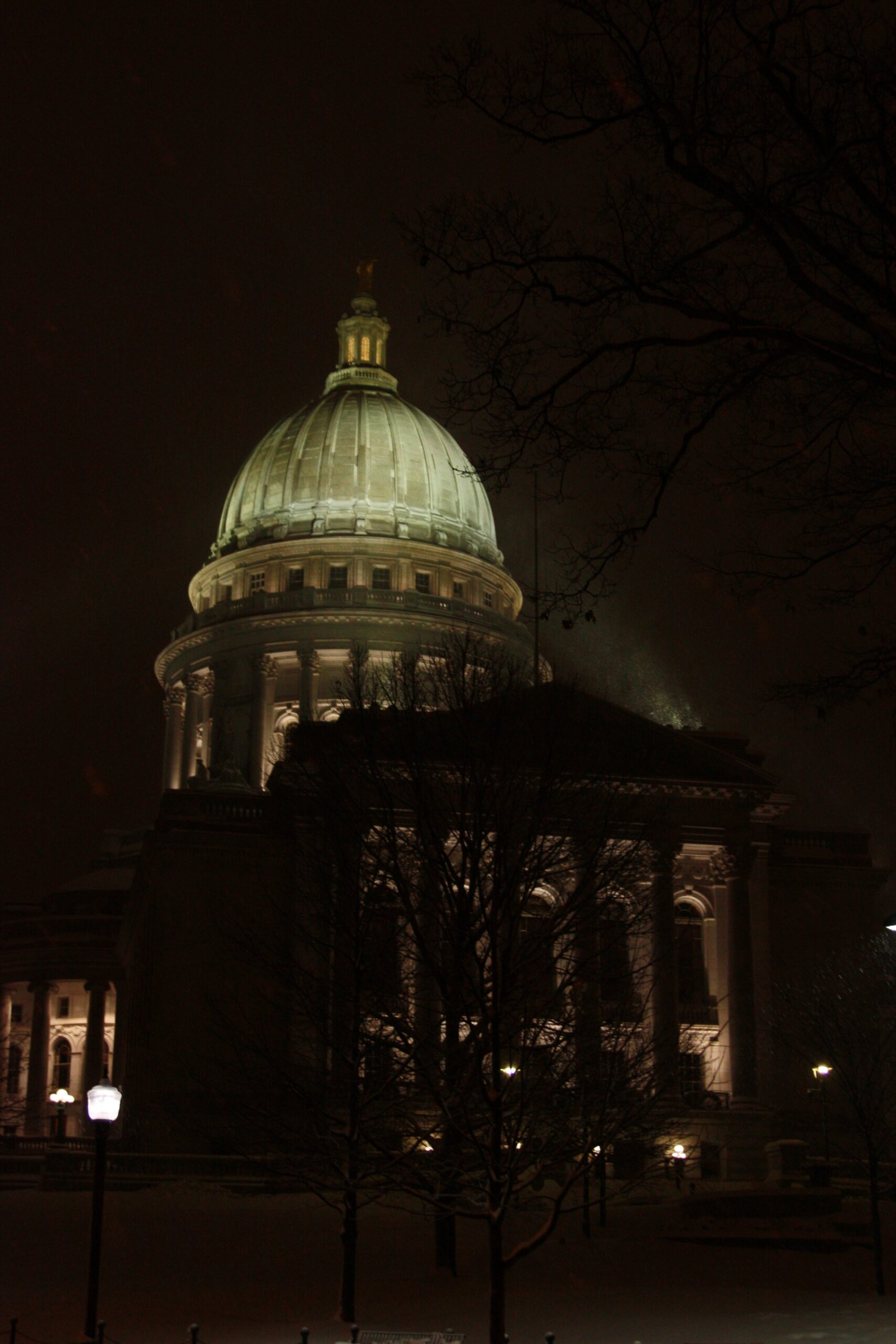 Capitol dome lit up at night