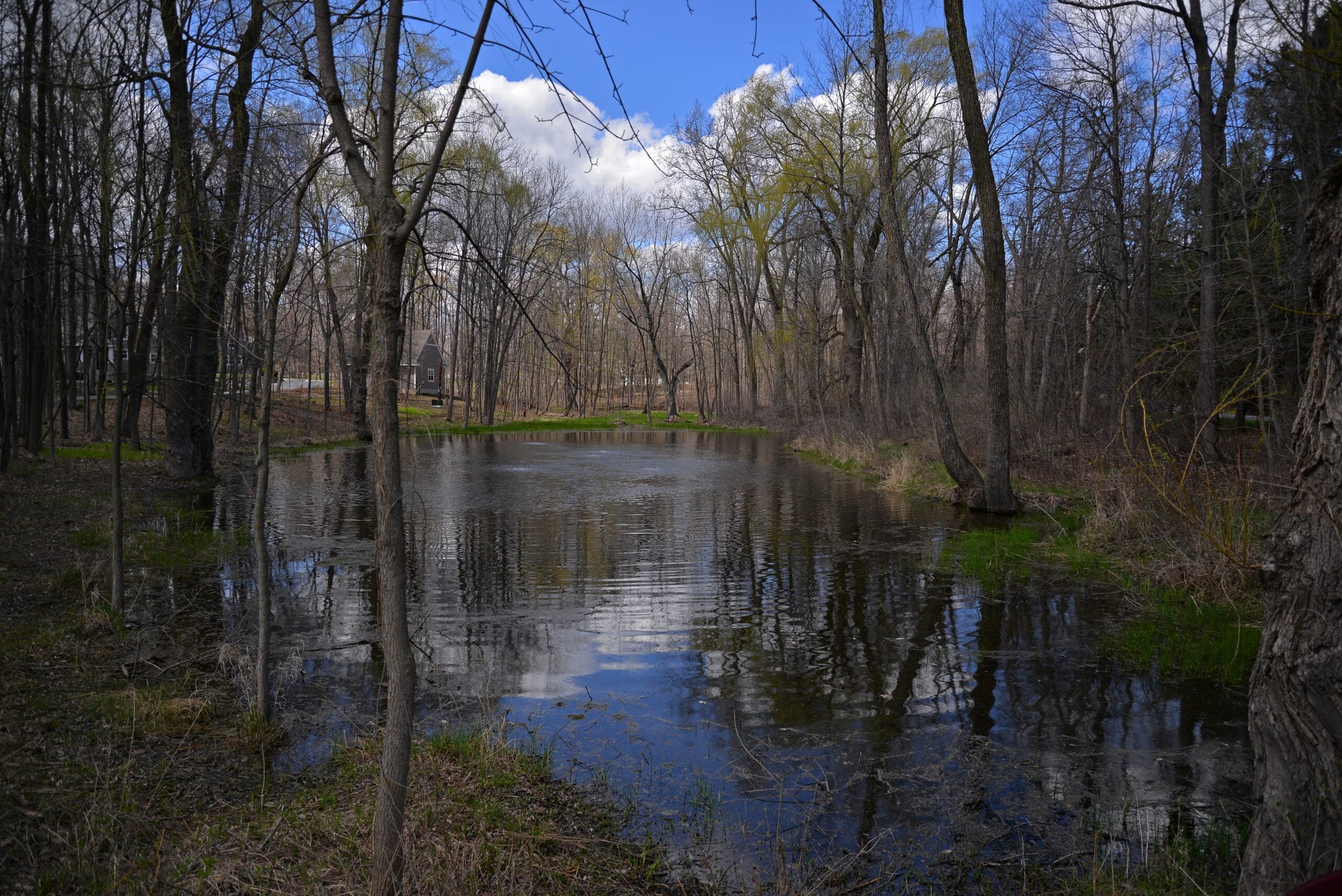 Weather Update A Spring Outlook WPR