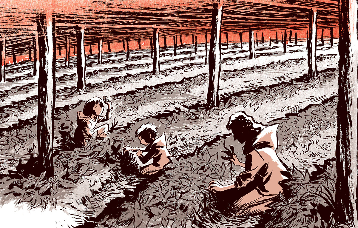 Graphic Novelist Craig Thompson’s ‘Ginseng Roots’ Start With His Central Wisconsin Childhood
